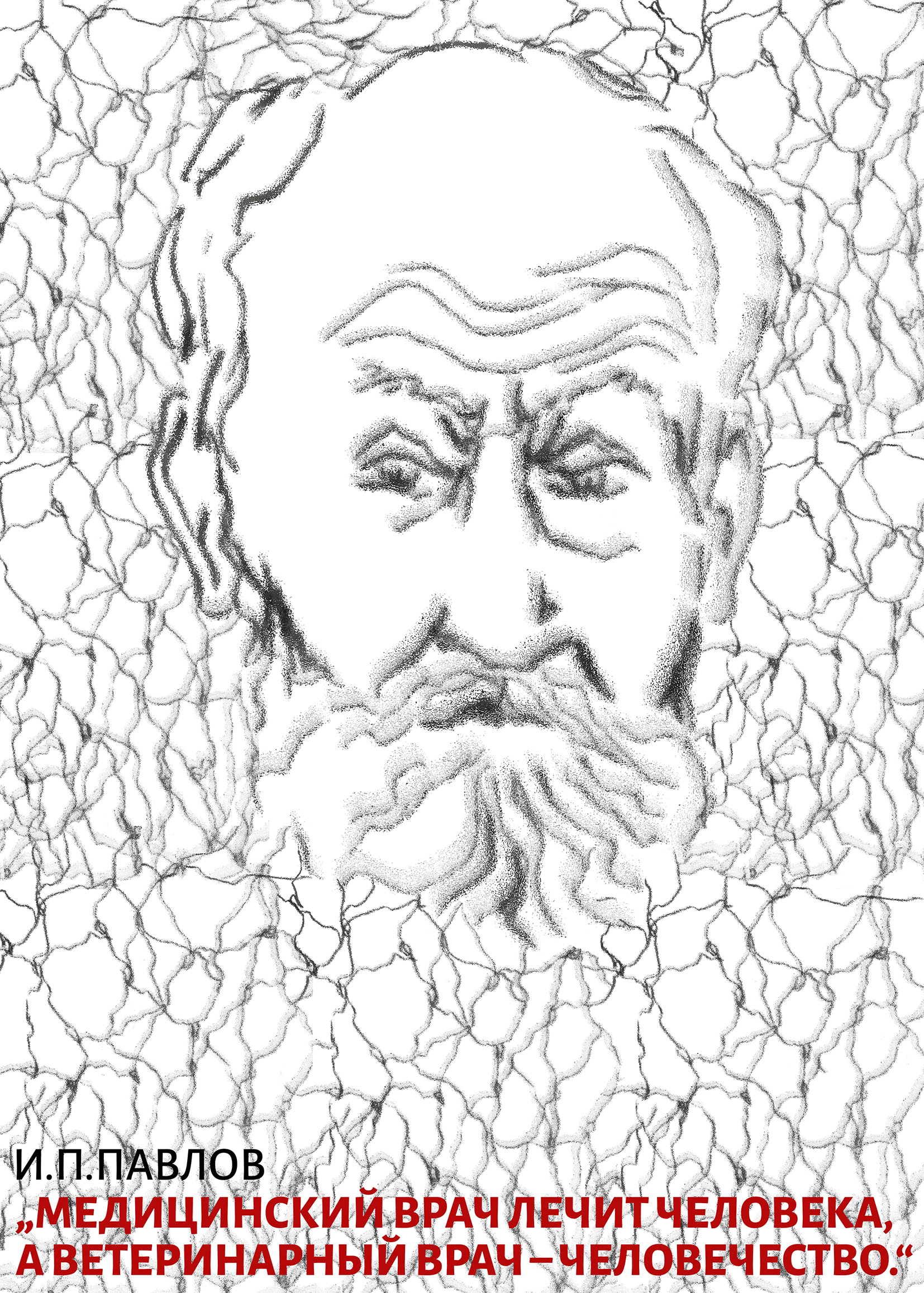 Плакат "ученый Иван Павлов"