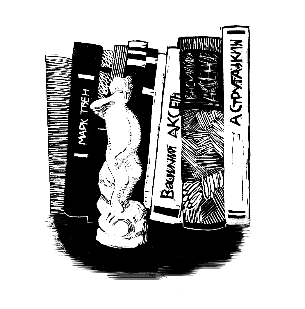 Натюрморт на книжной полке. Таня