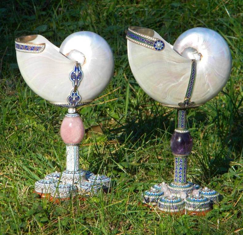 /yduploads/profile/43440/album/Cups-Nautilus-5cc84c9e0b6d9.jpg