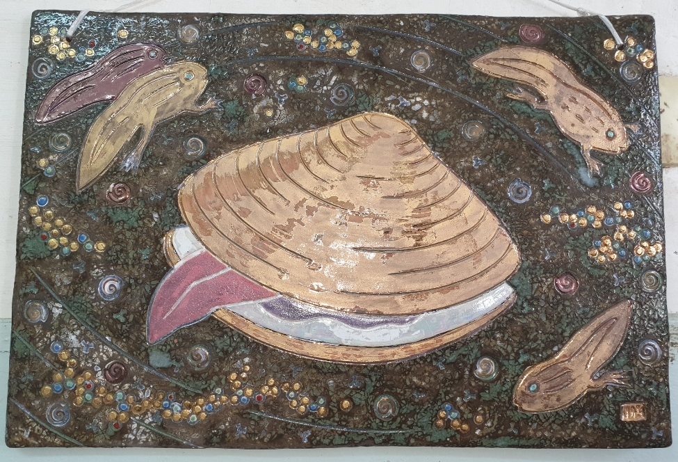 Ракушка