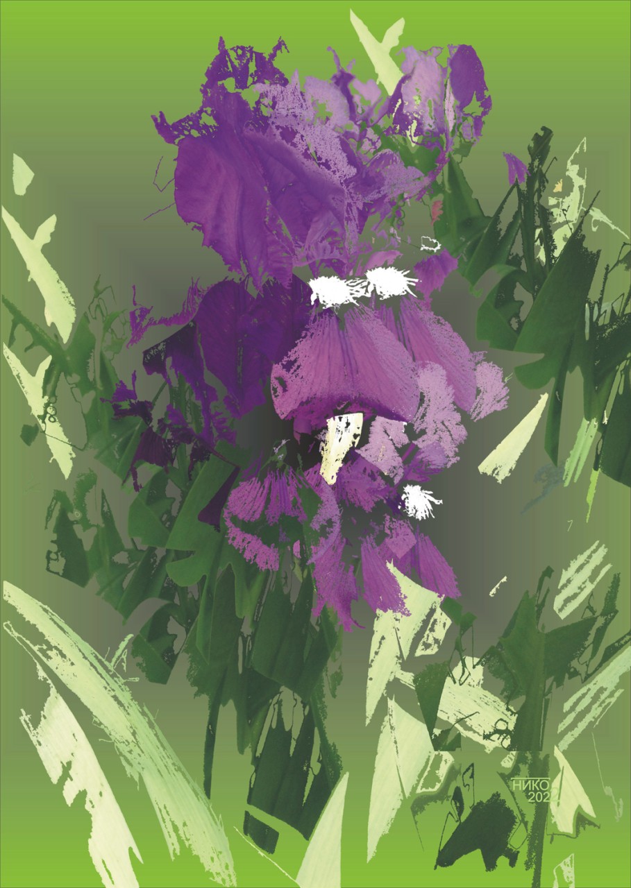 Ирис
