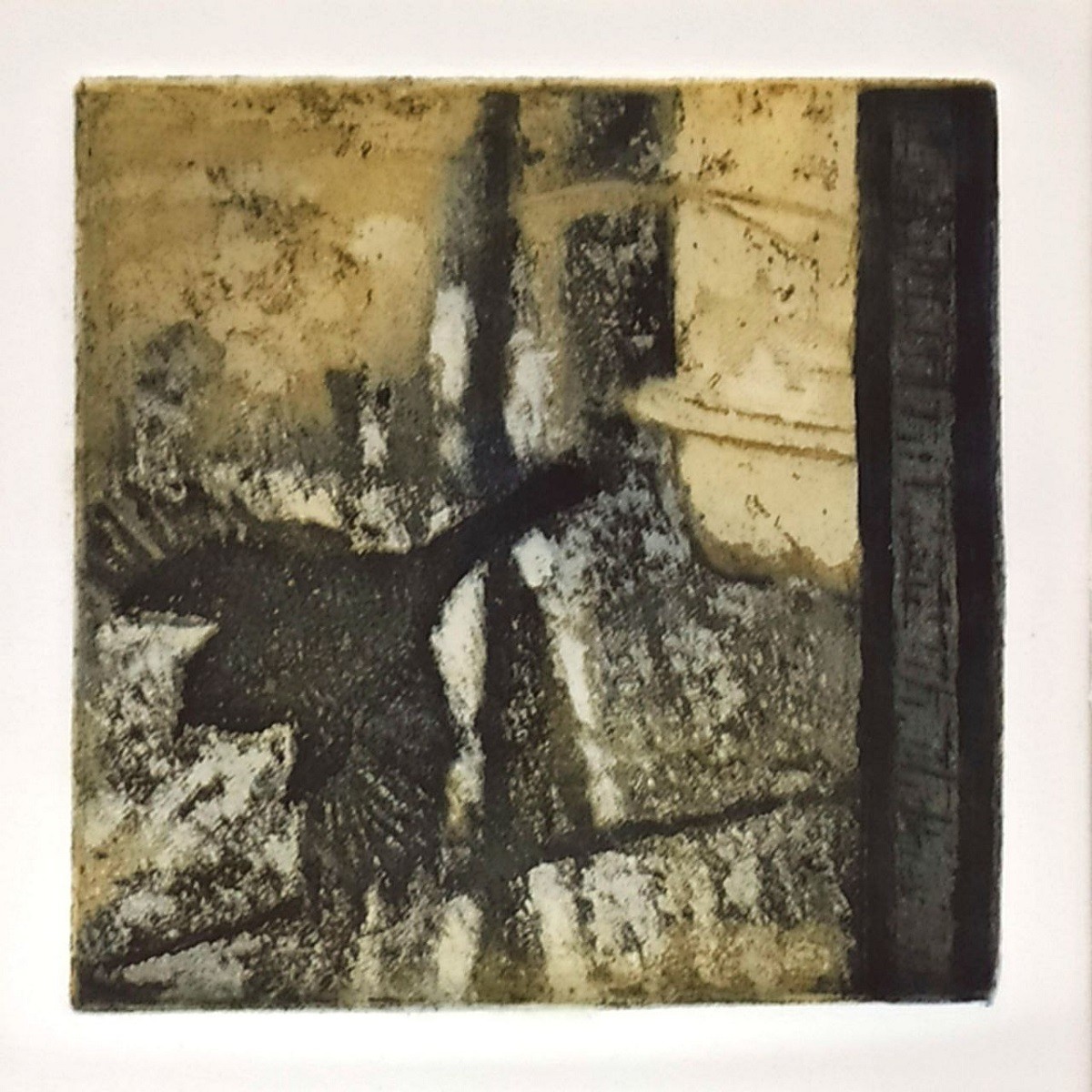 La Colombe La Paloma