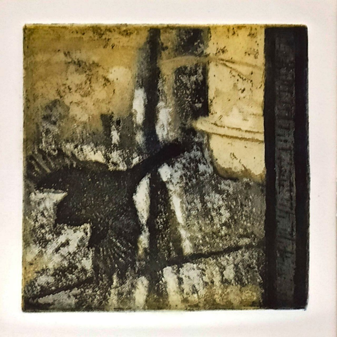 La Colombe La Paloma