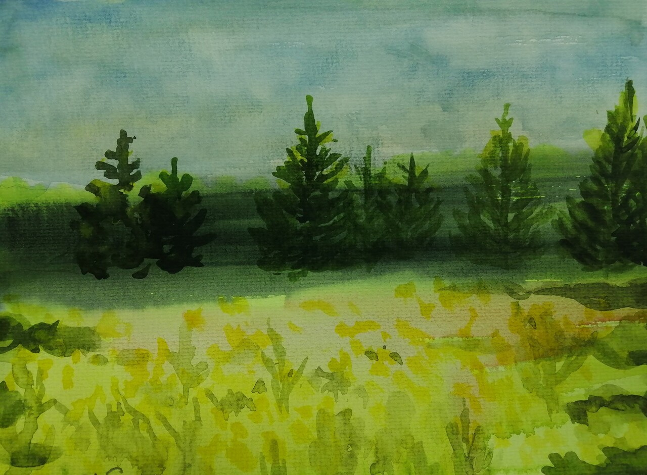 Елочки