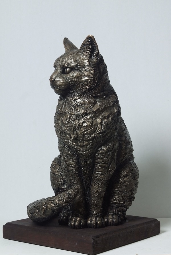 Кошка Бася