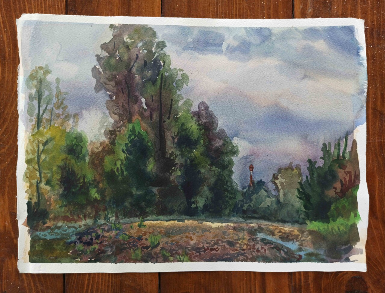Берега