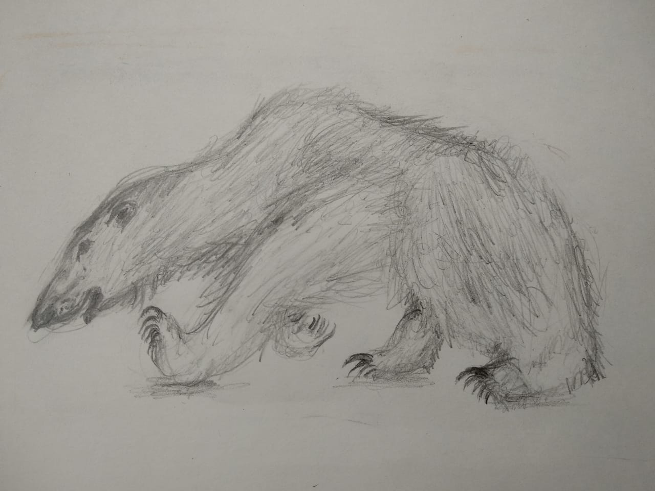 Копия