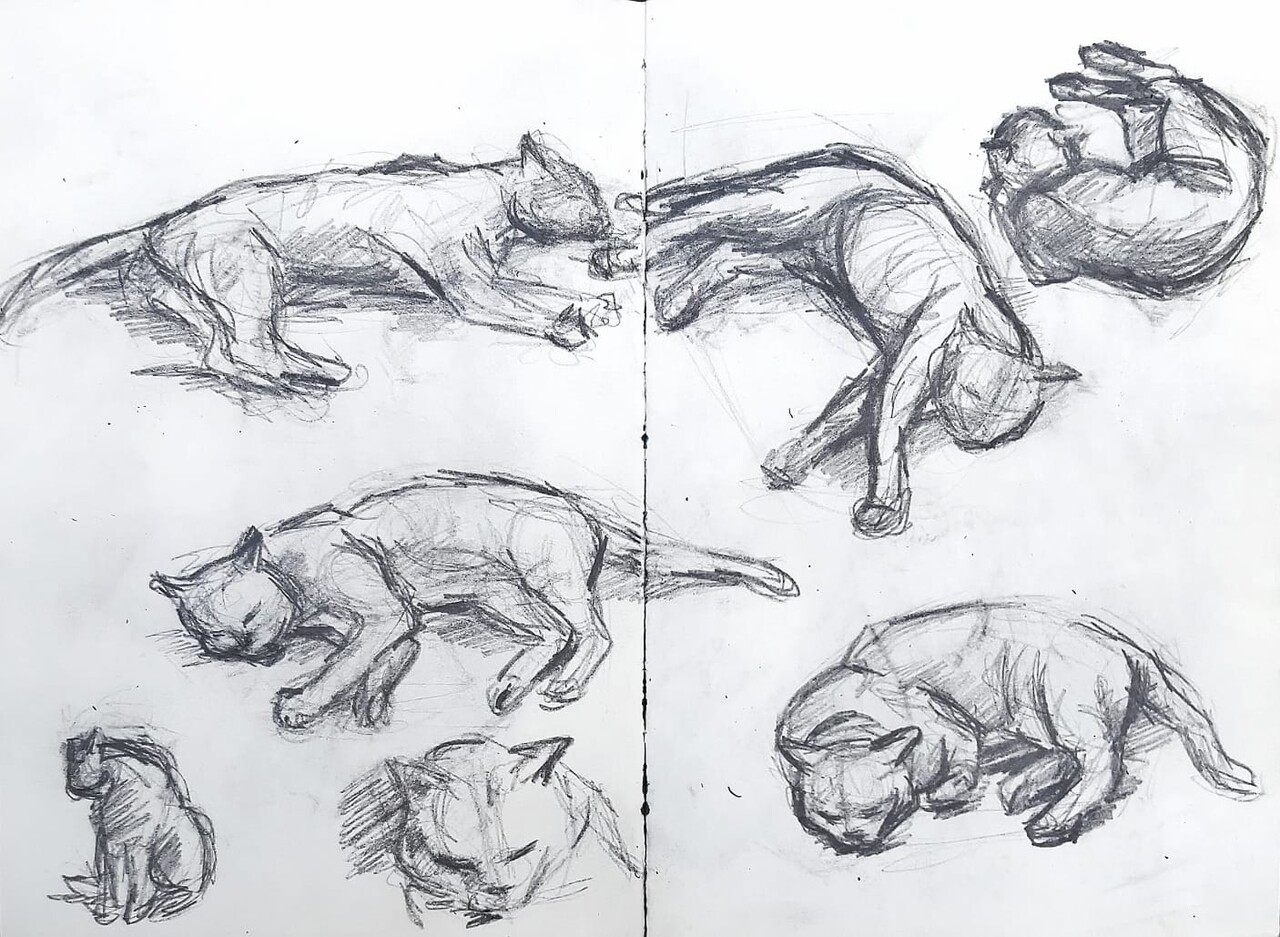 Мой кот Персик (зарисовка)