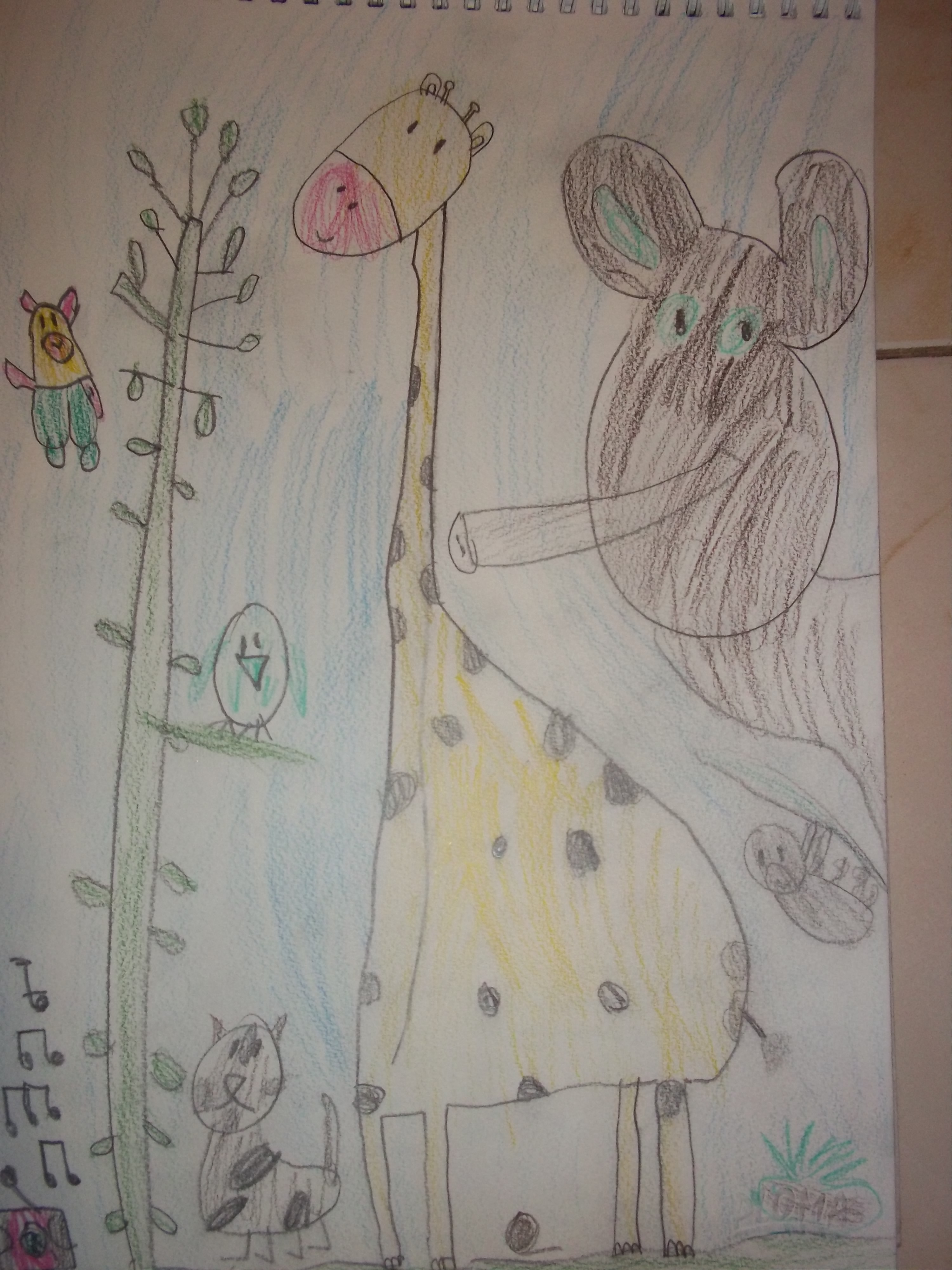 Zoo