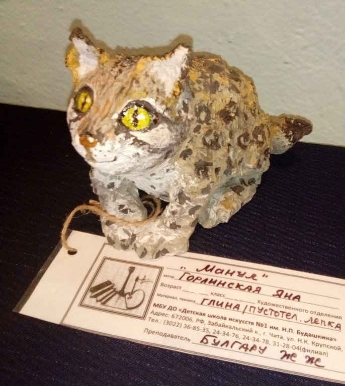 кот Манул