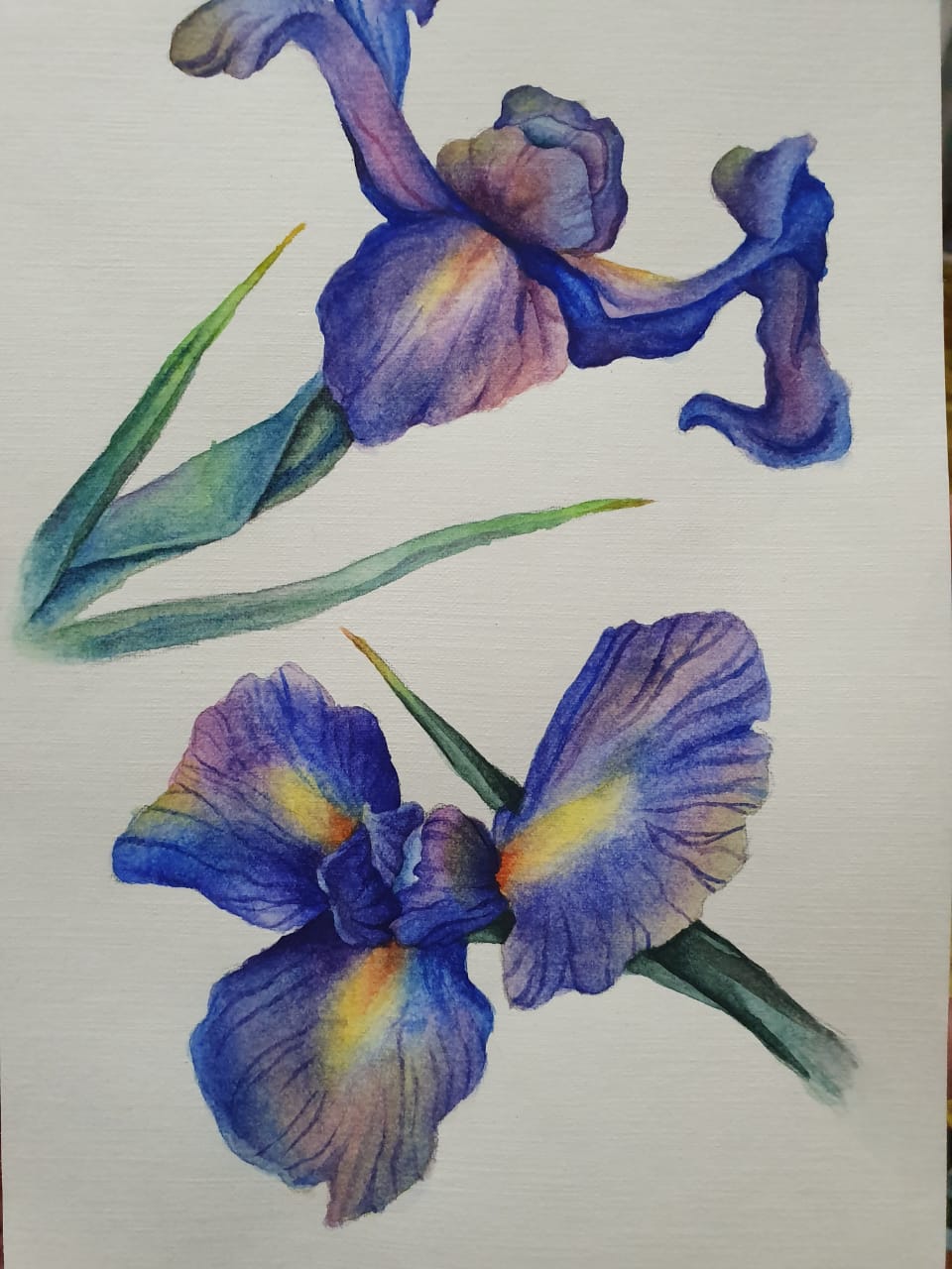 Рисунок