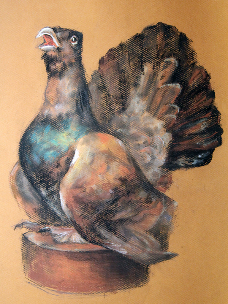 Глухарь