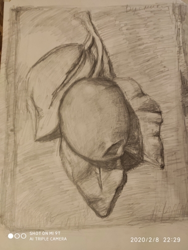 Рисунок 1