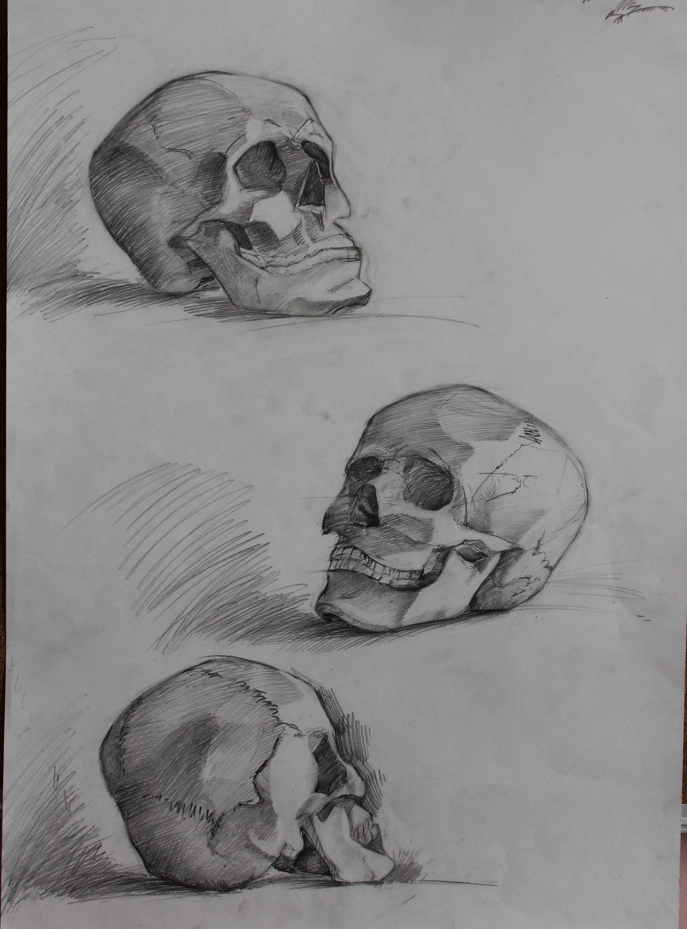 Рисунок черепа