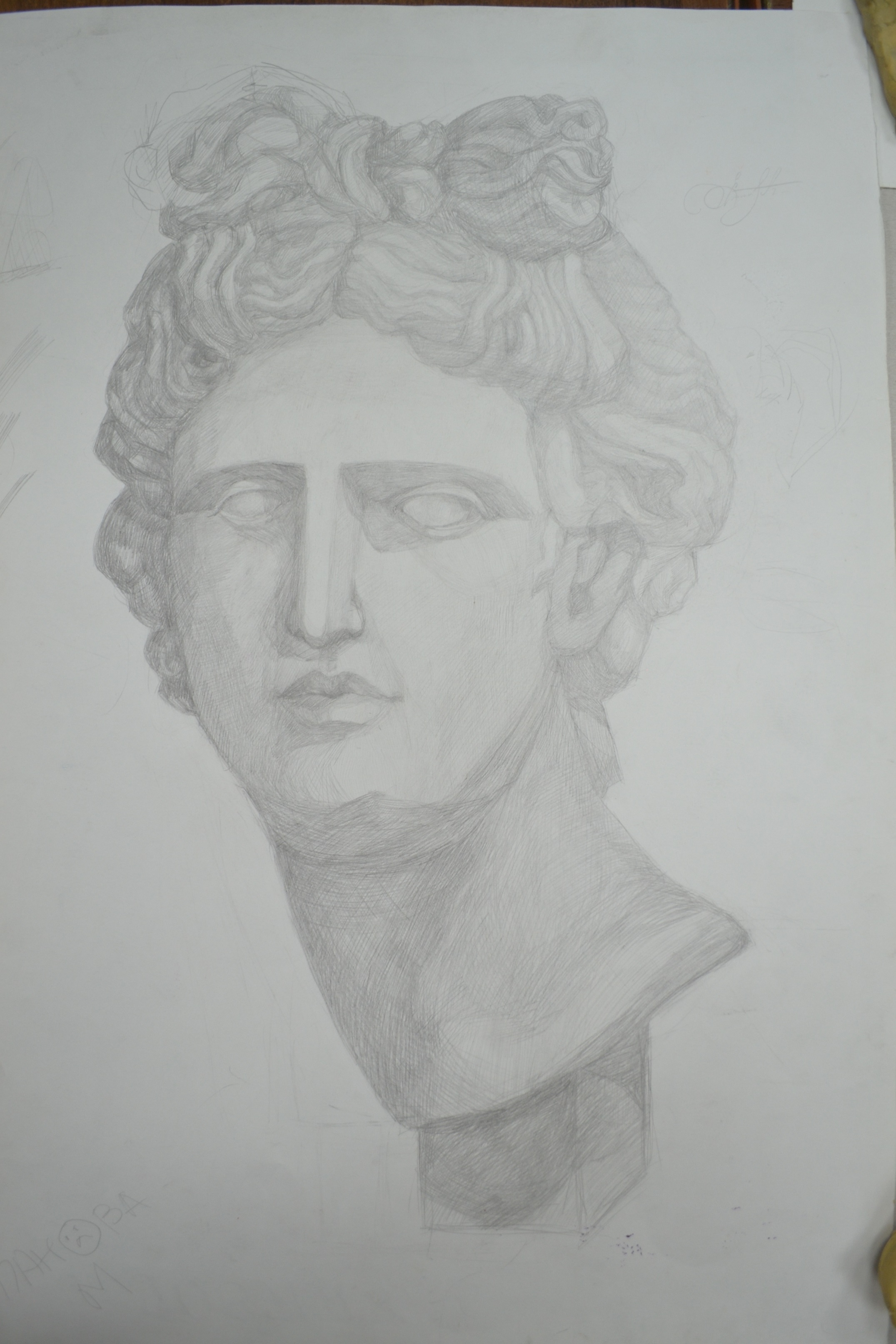 Рисунок гипсовой головы Аполлона 
