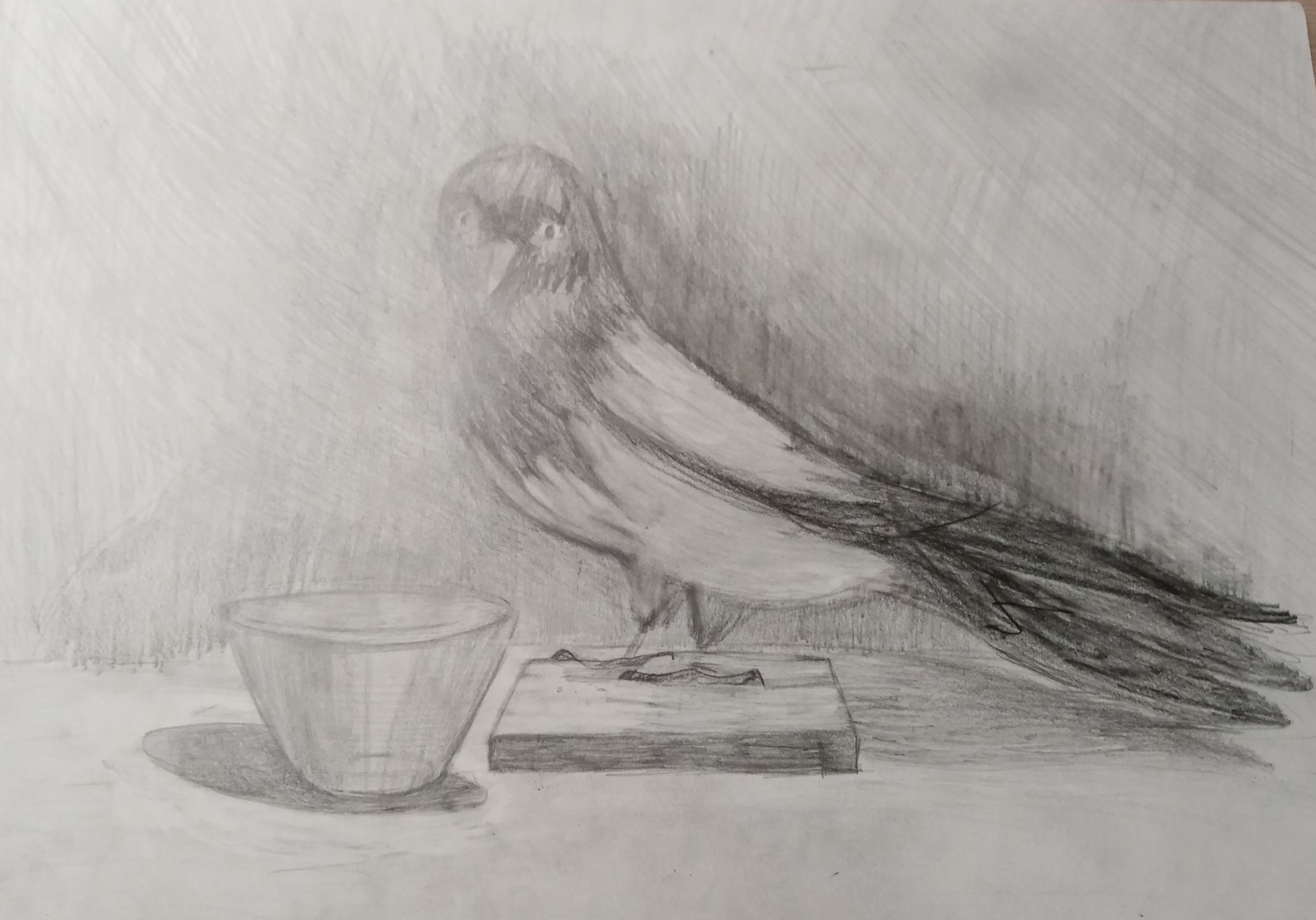 Натюрморт с птицей карандашом