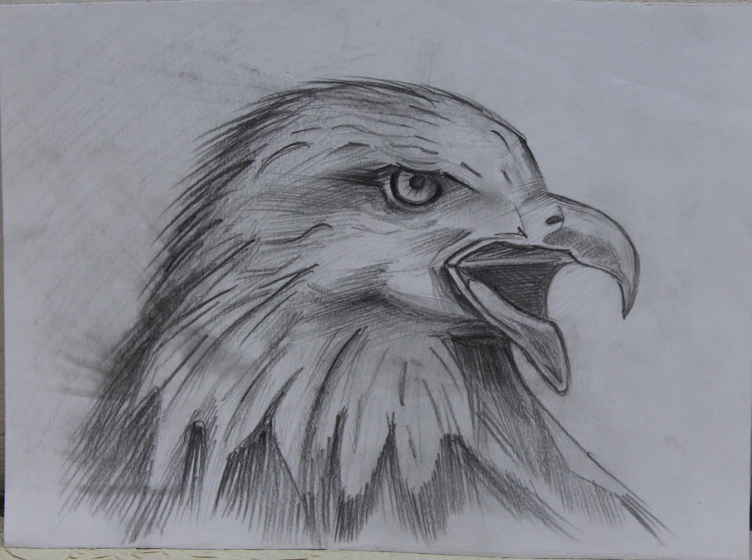 Орел