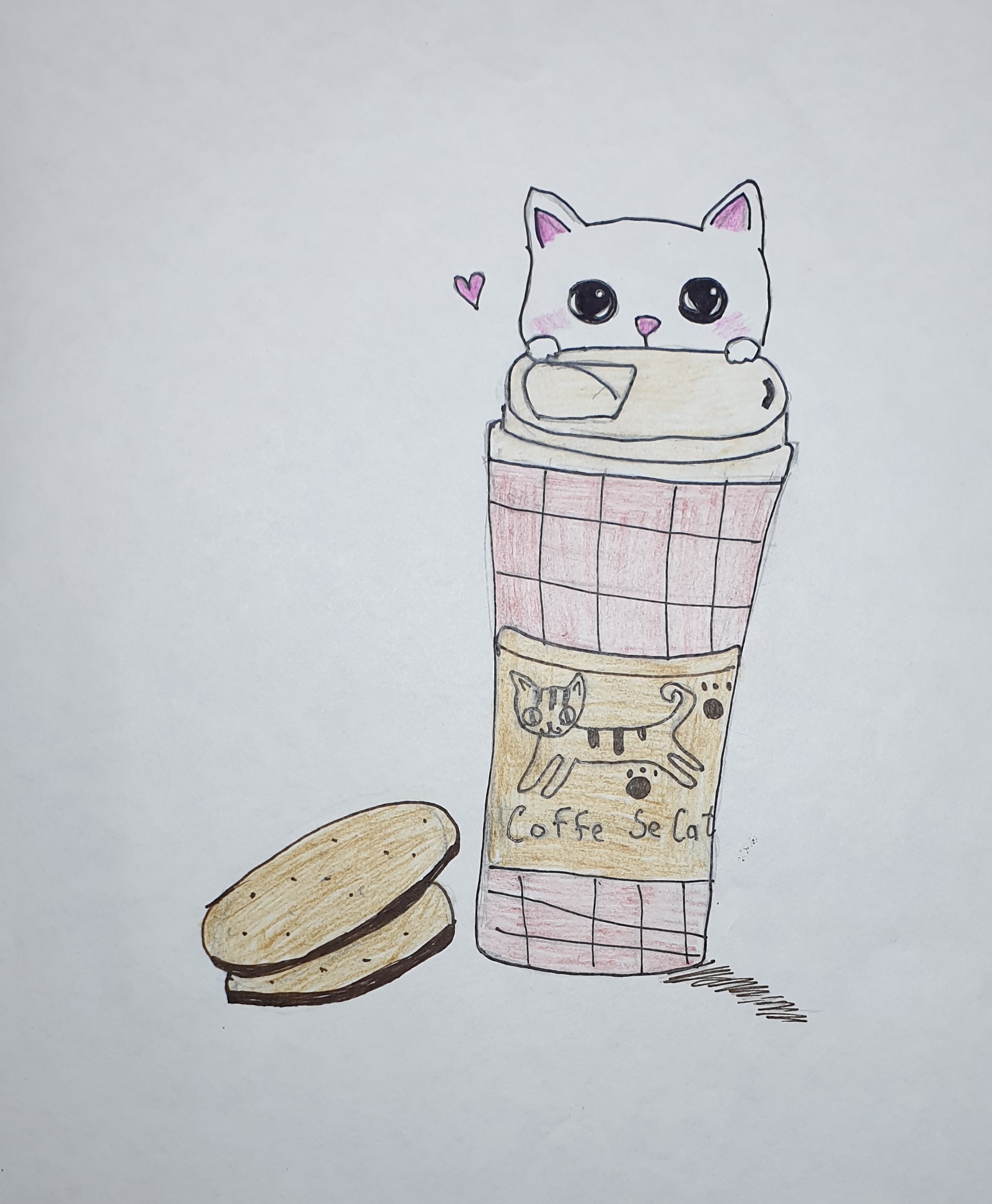 Coffe cat