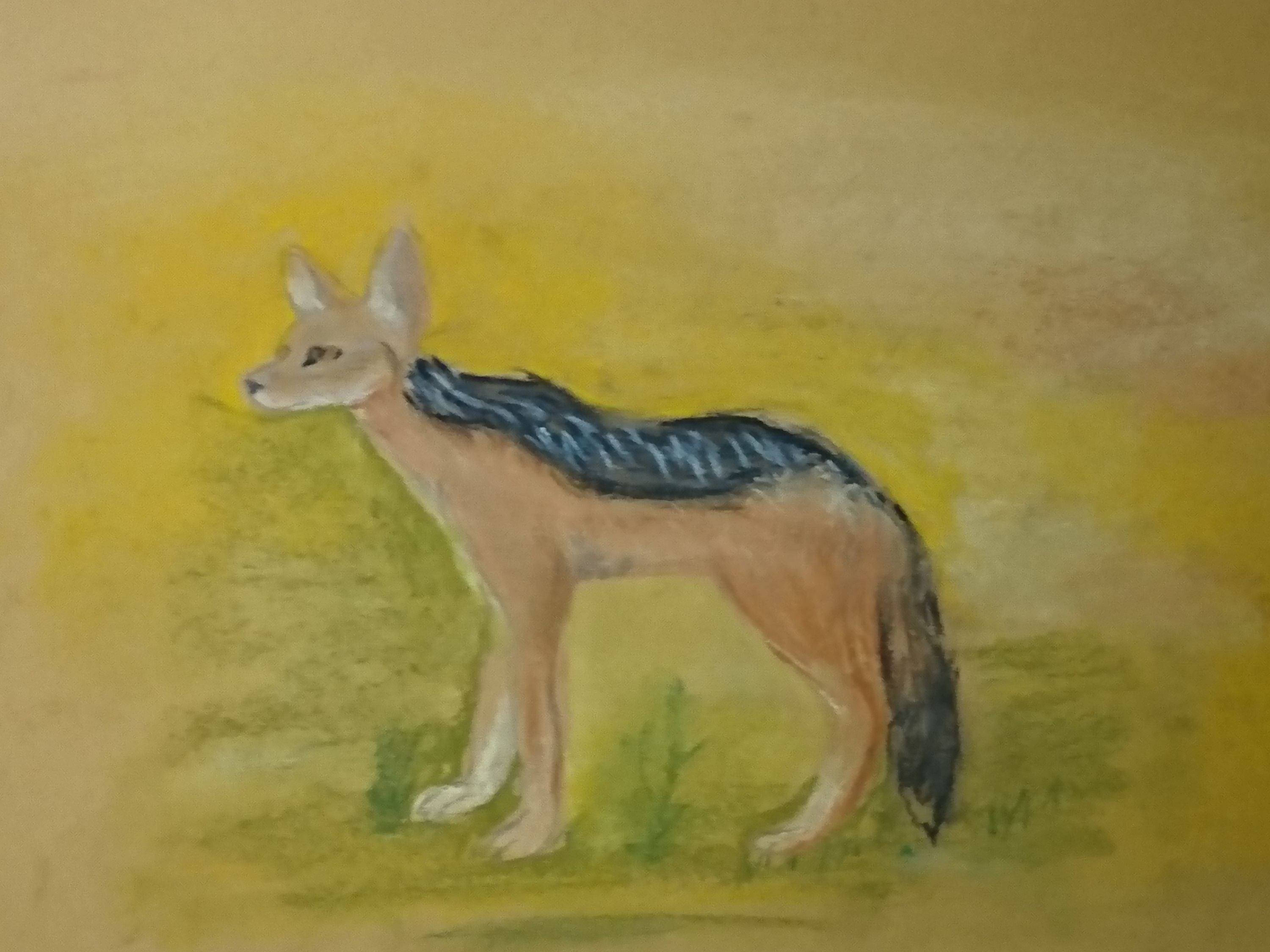 Лиса