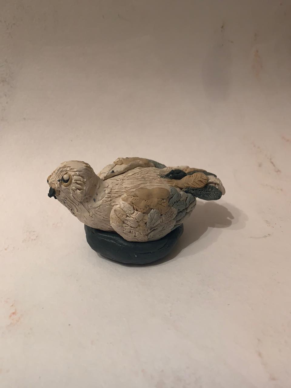 коршун