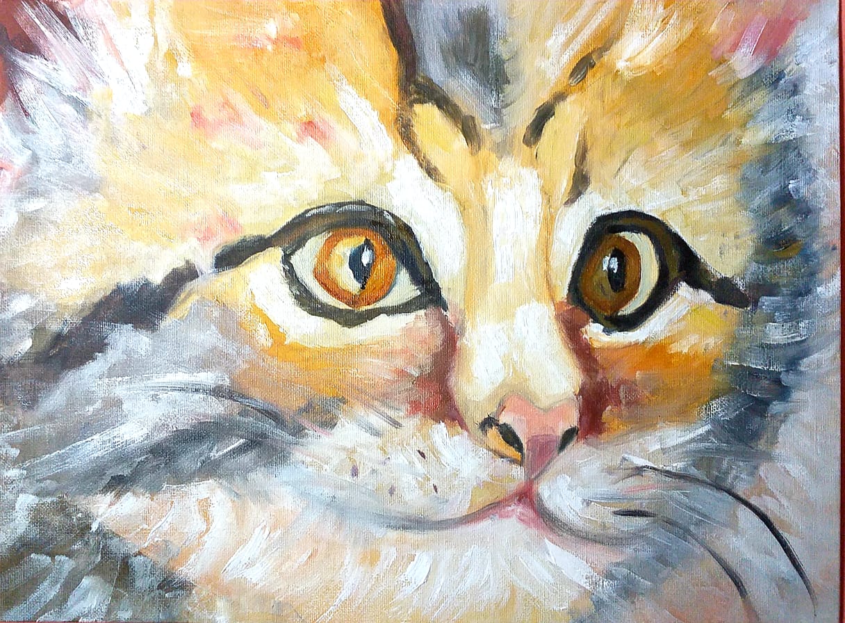 Котенок