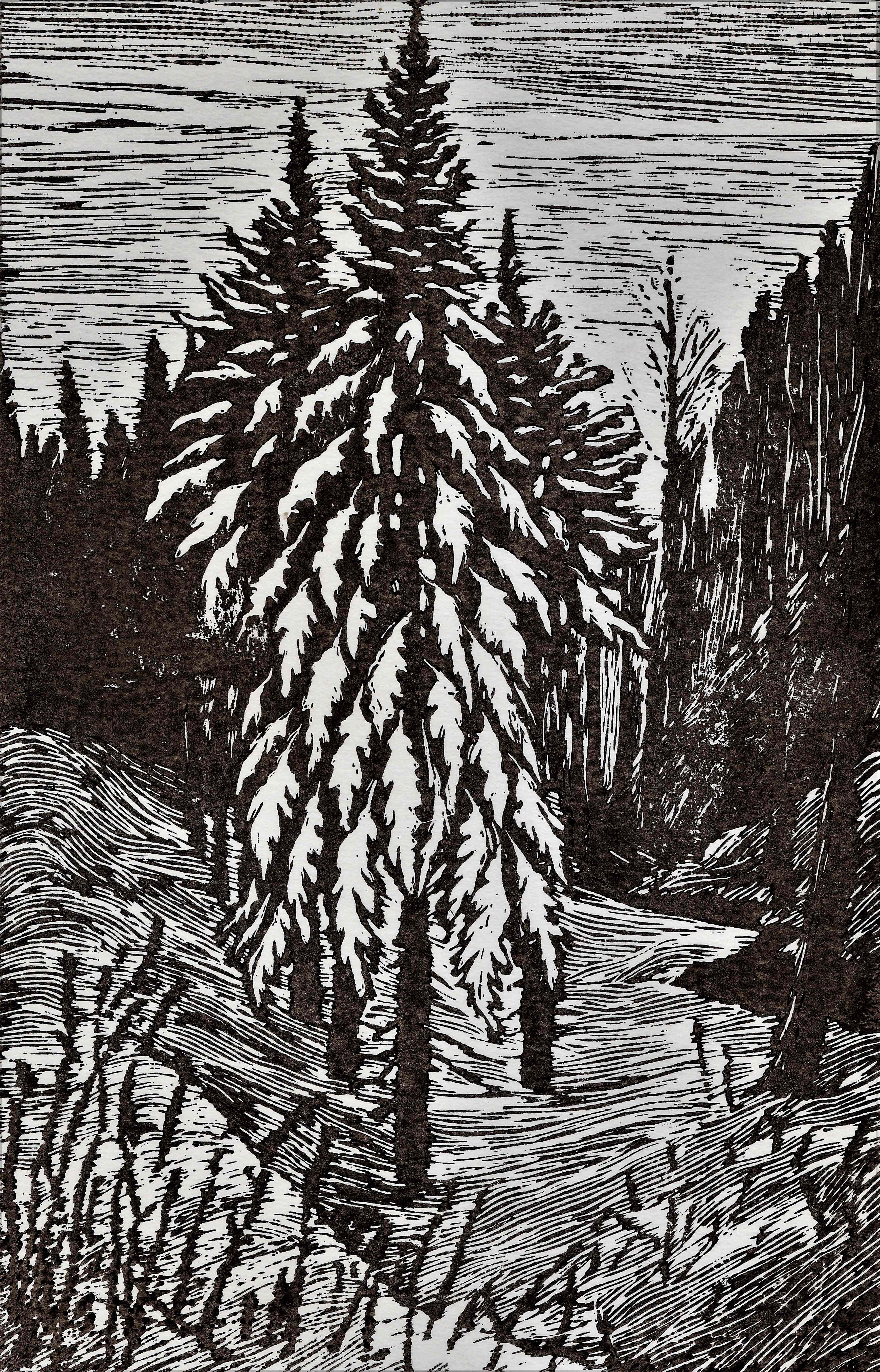 Зимний лес