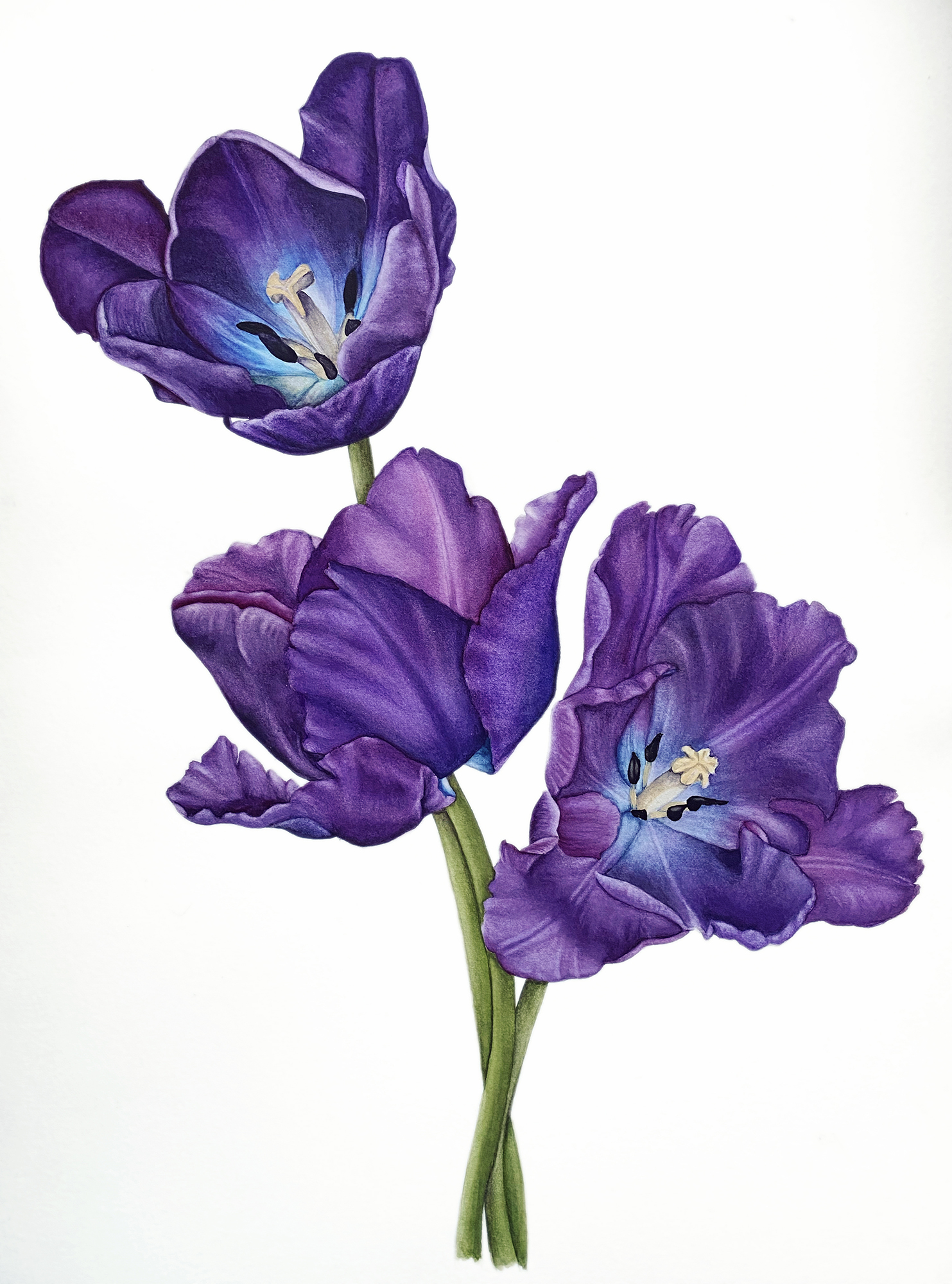 Blue Aimable Blue Aimable