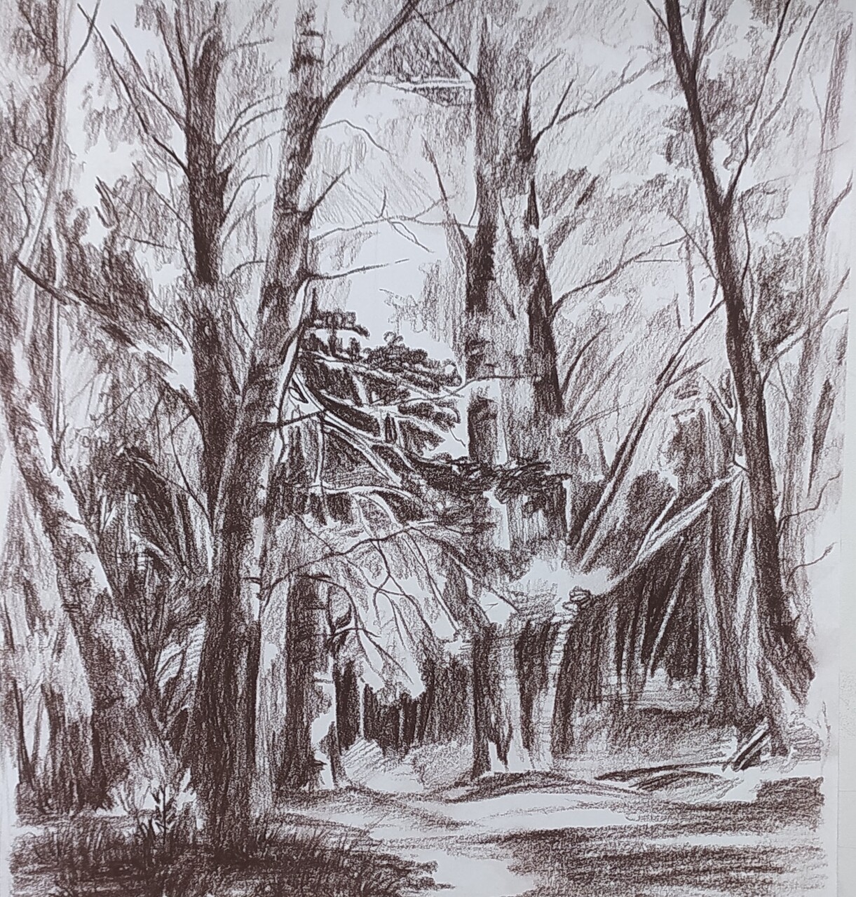 Зарисовка леса