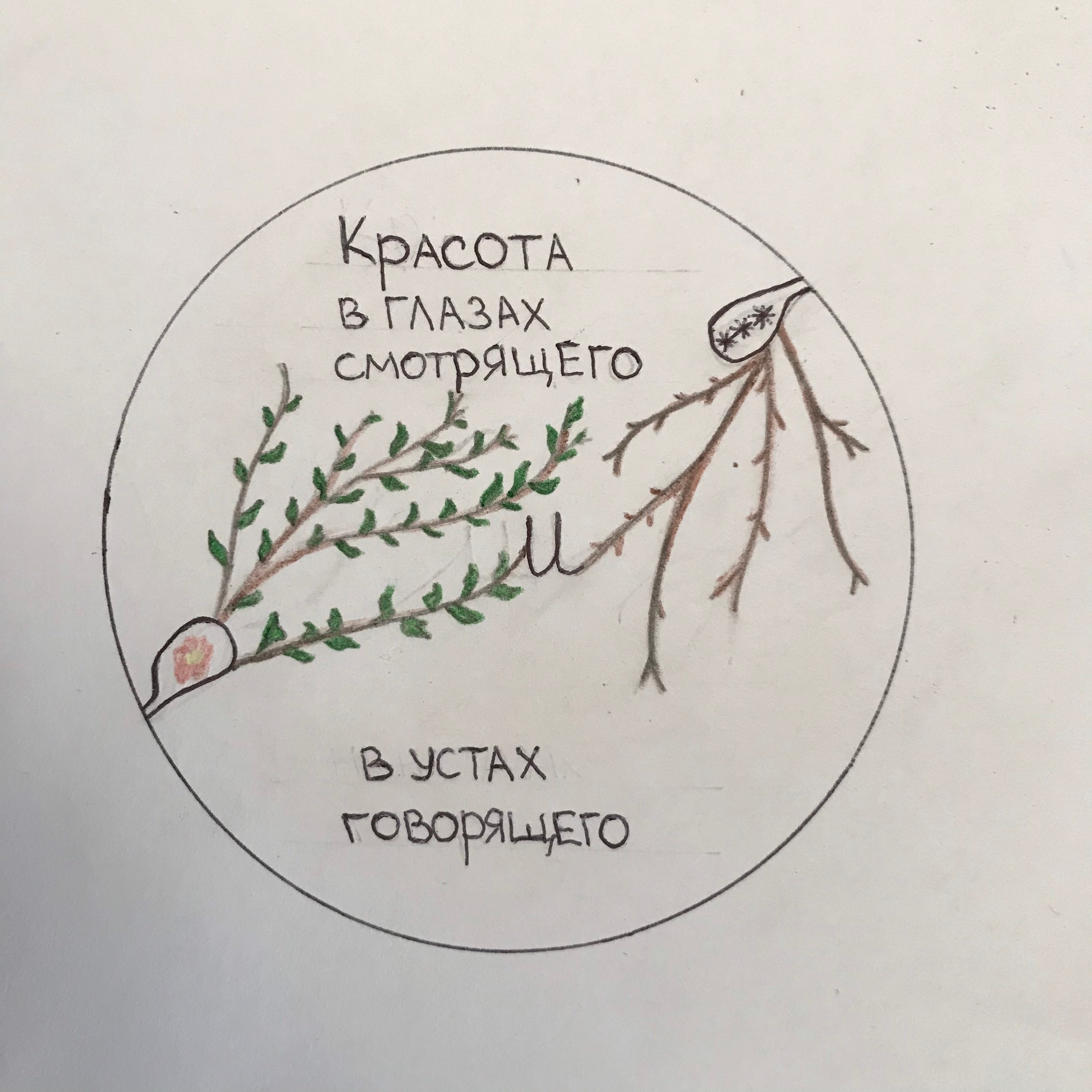 Музыка против скверноловия