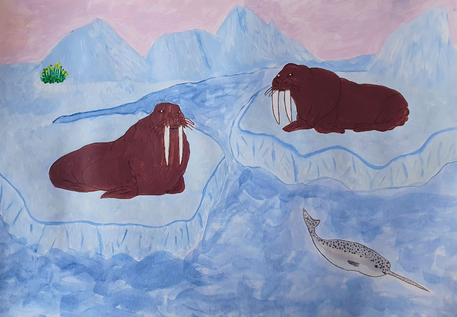 Рисование морж на льдине подготовительная группа