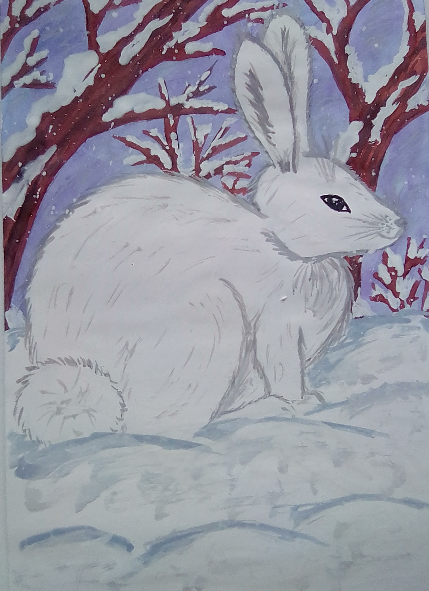 Рисование зайца