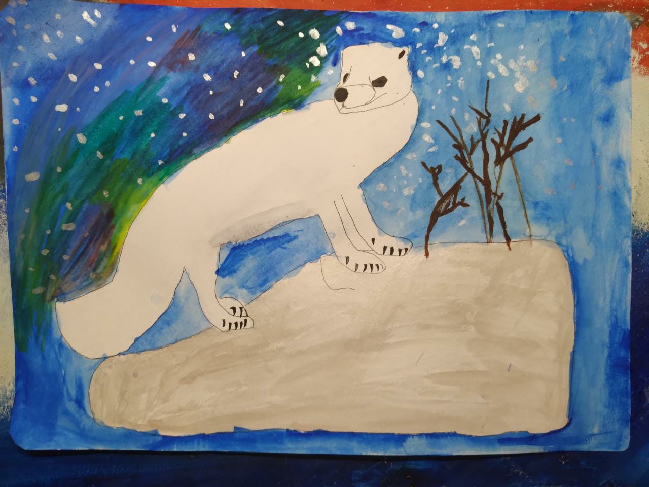 Рисование ООД животные Арктики
