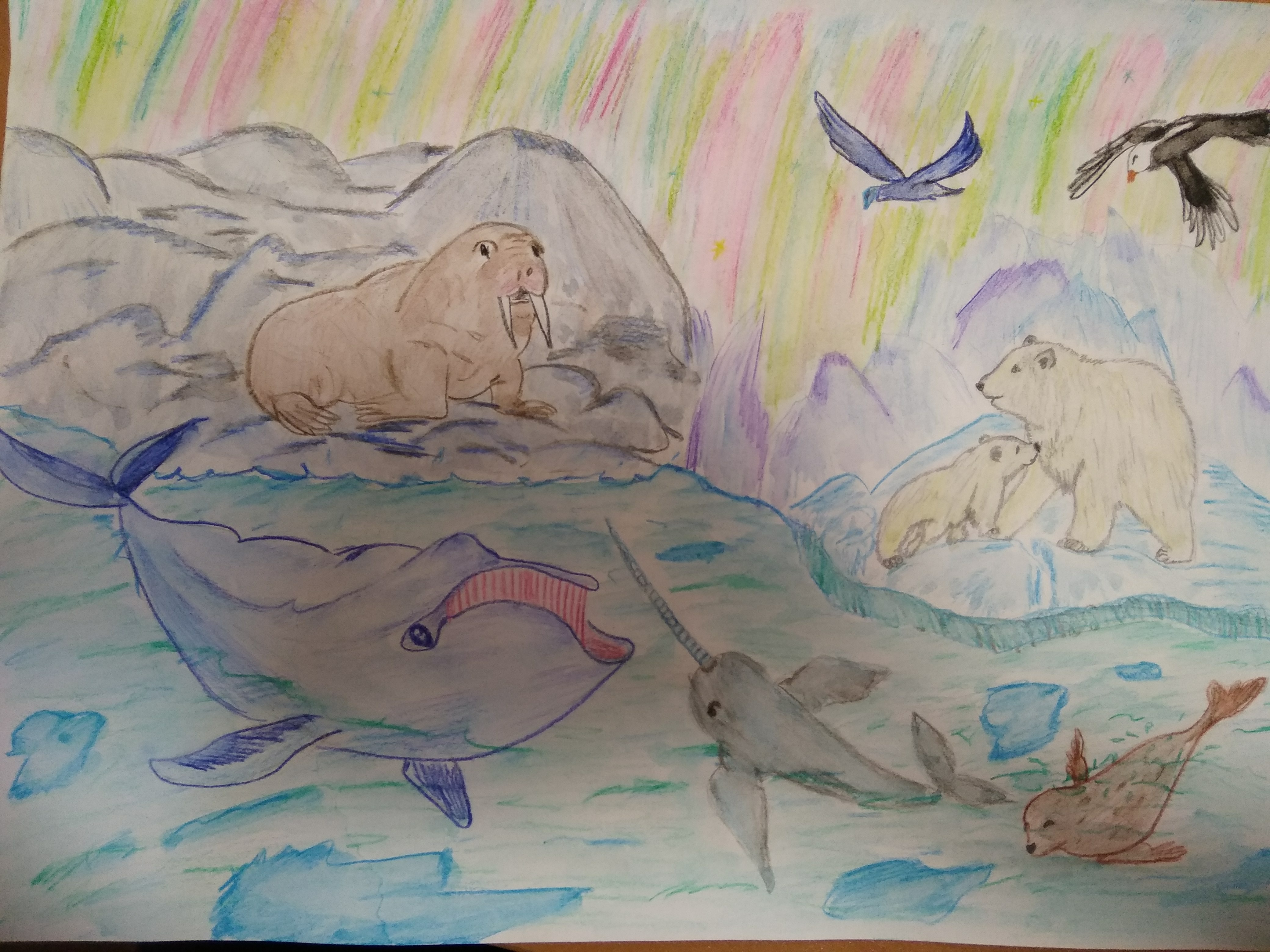 Конкурс рисунков природа и животный мир Арктики
