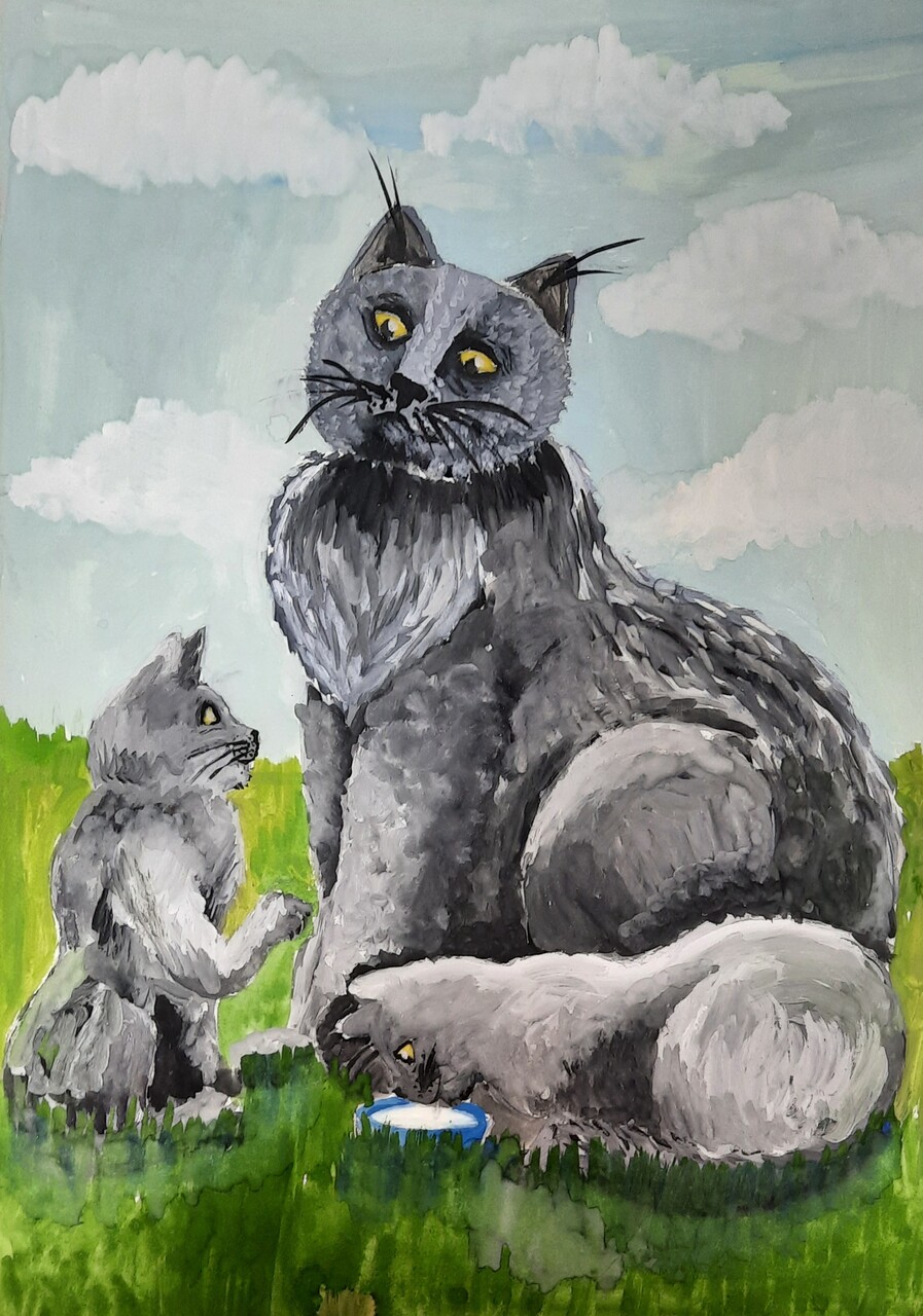 Котятки