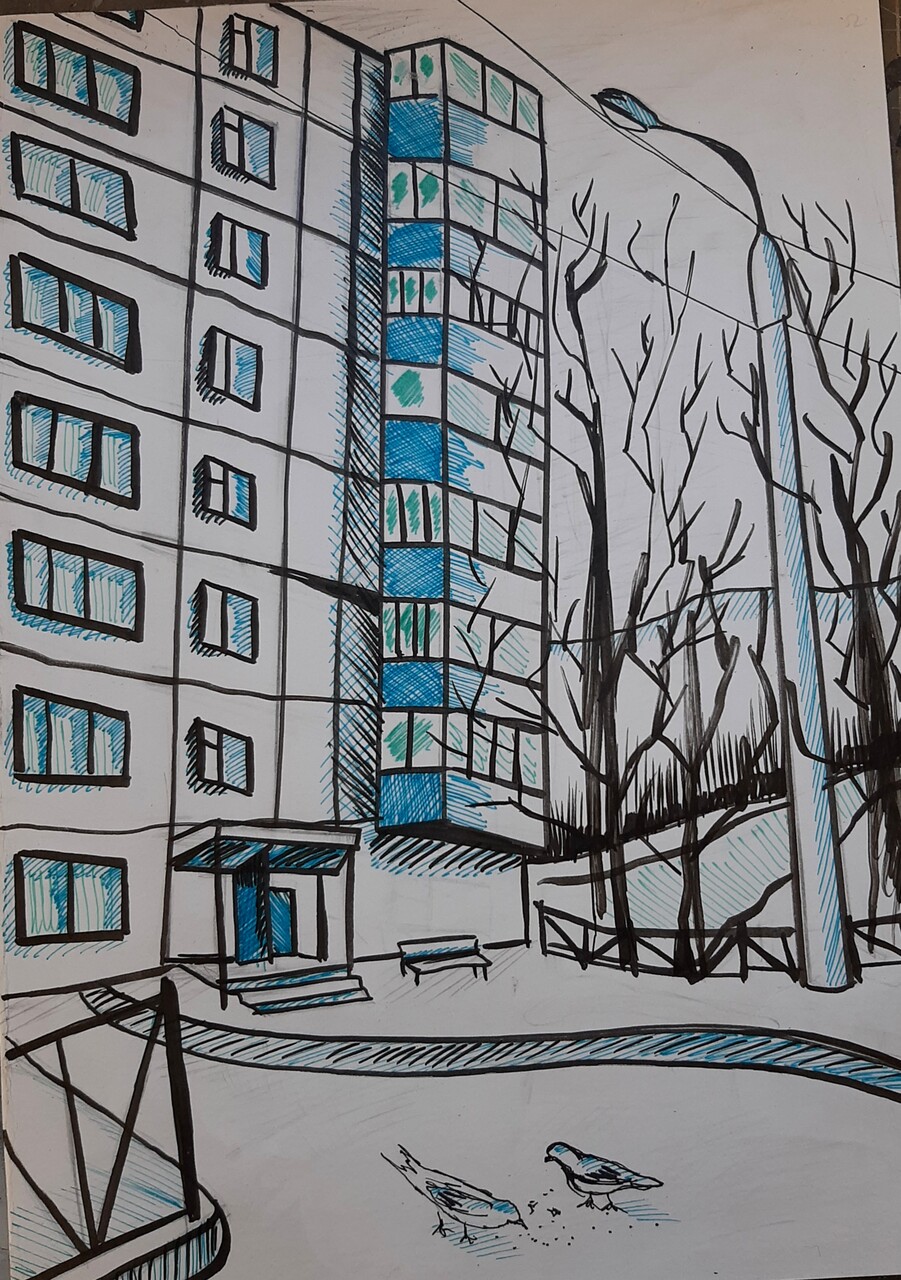 Мой двор