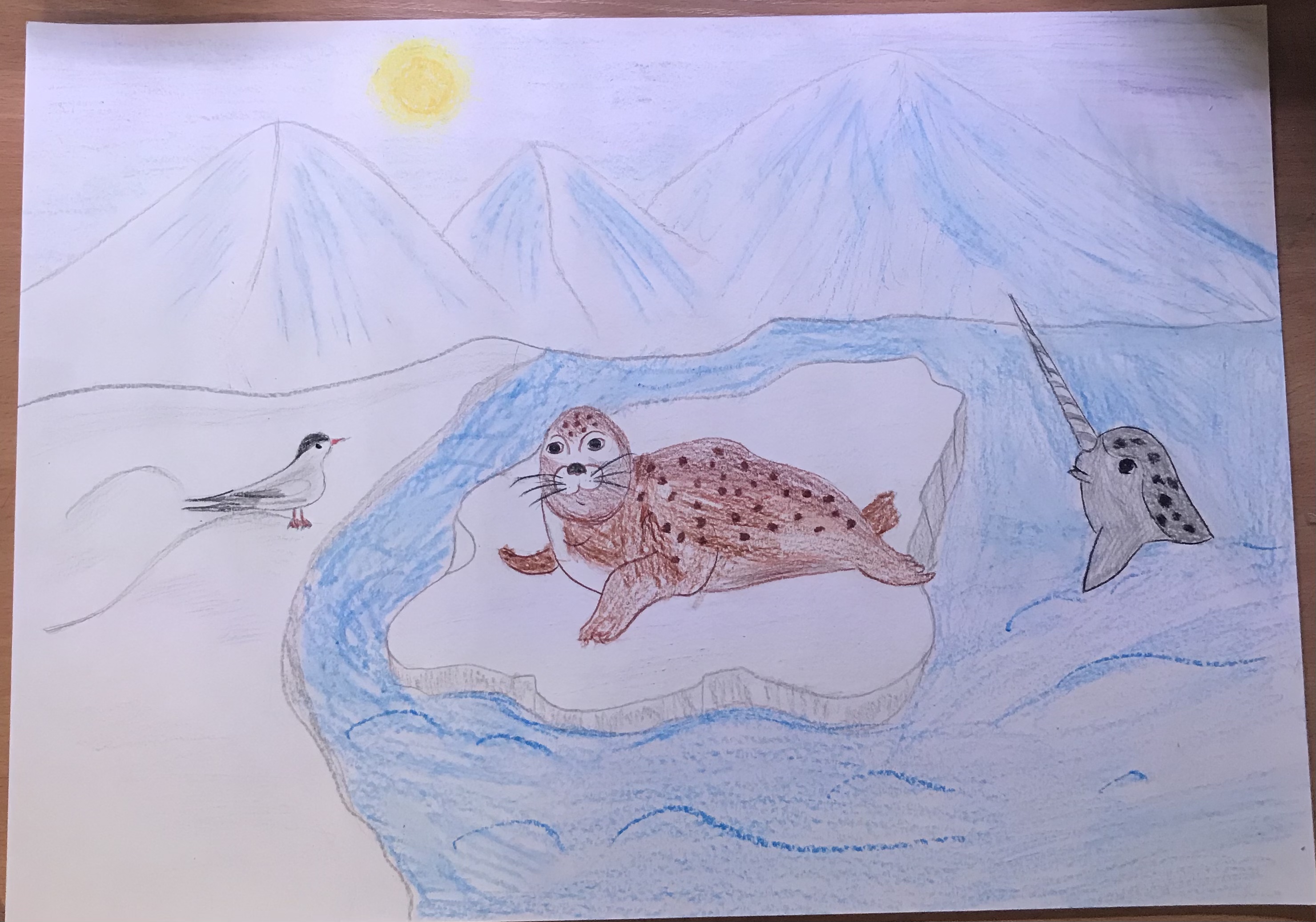 Рисунок Арктики по окружающему миру