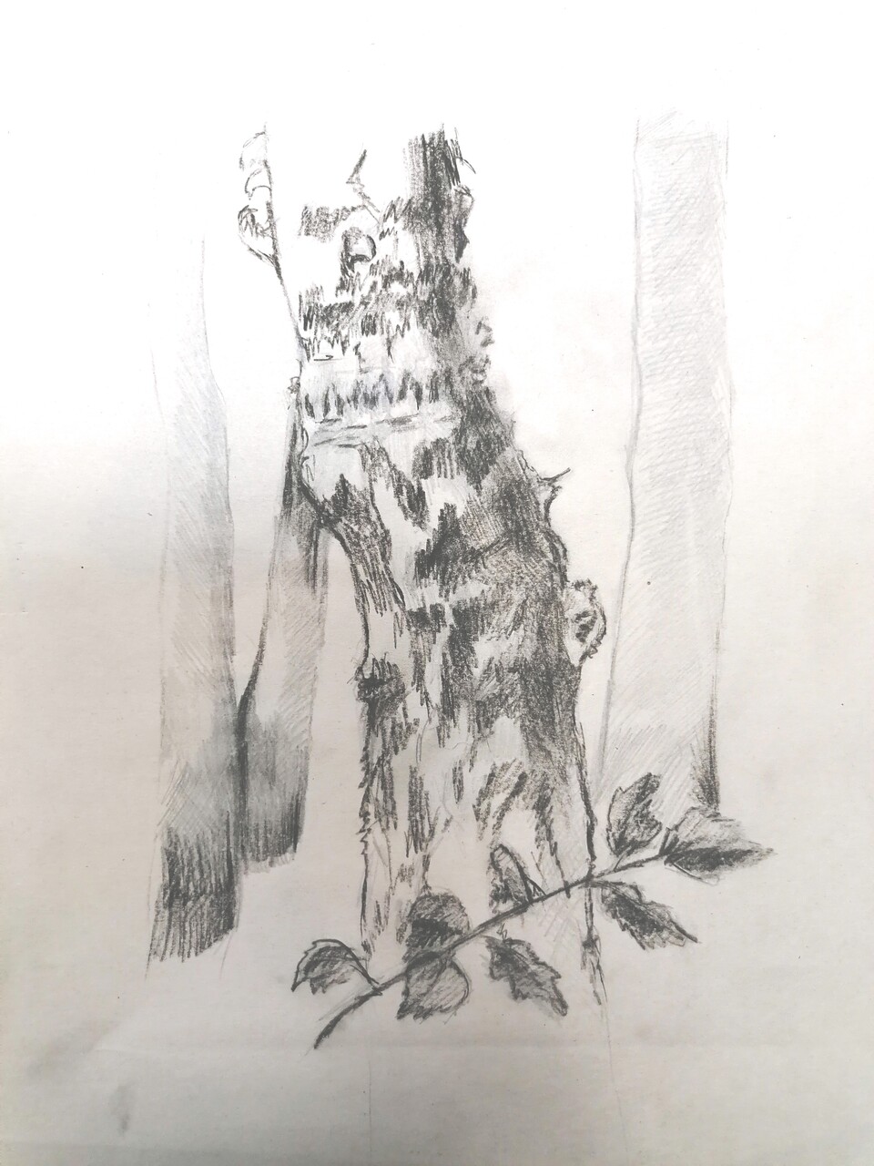 Березка