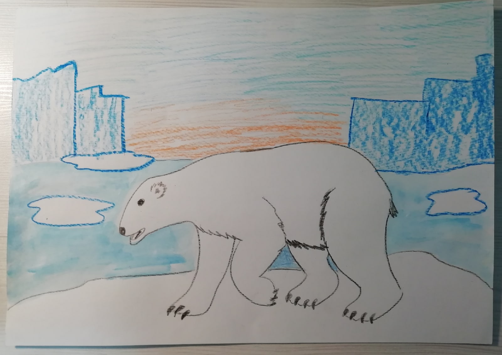 Как я представляю себе Арктику рисунок карандашом морж