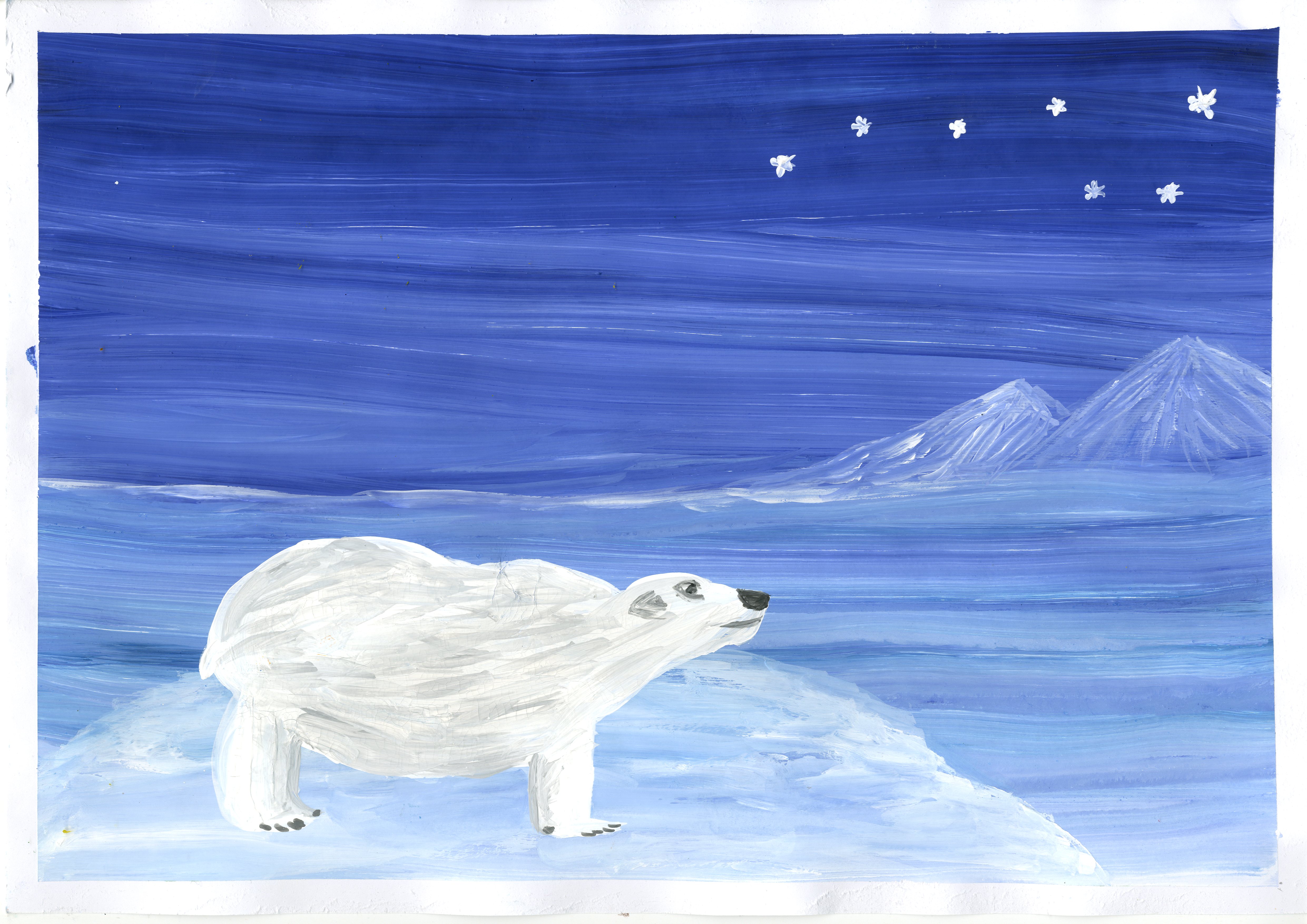 Рисунок от южных морей до полярного края. Белый медведь рисунок. Полярный край рисунок. Рисование белого медведя в подготовительной группе. Аппликация белый медведь в подготовительной группе.