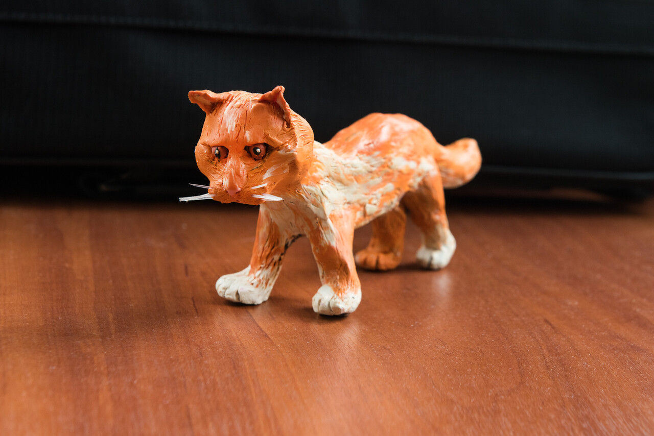 Рыжий кот