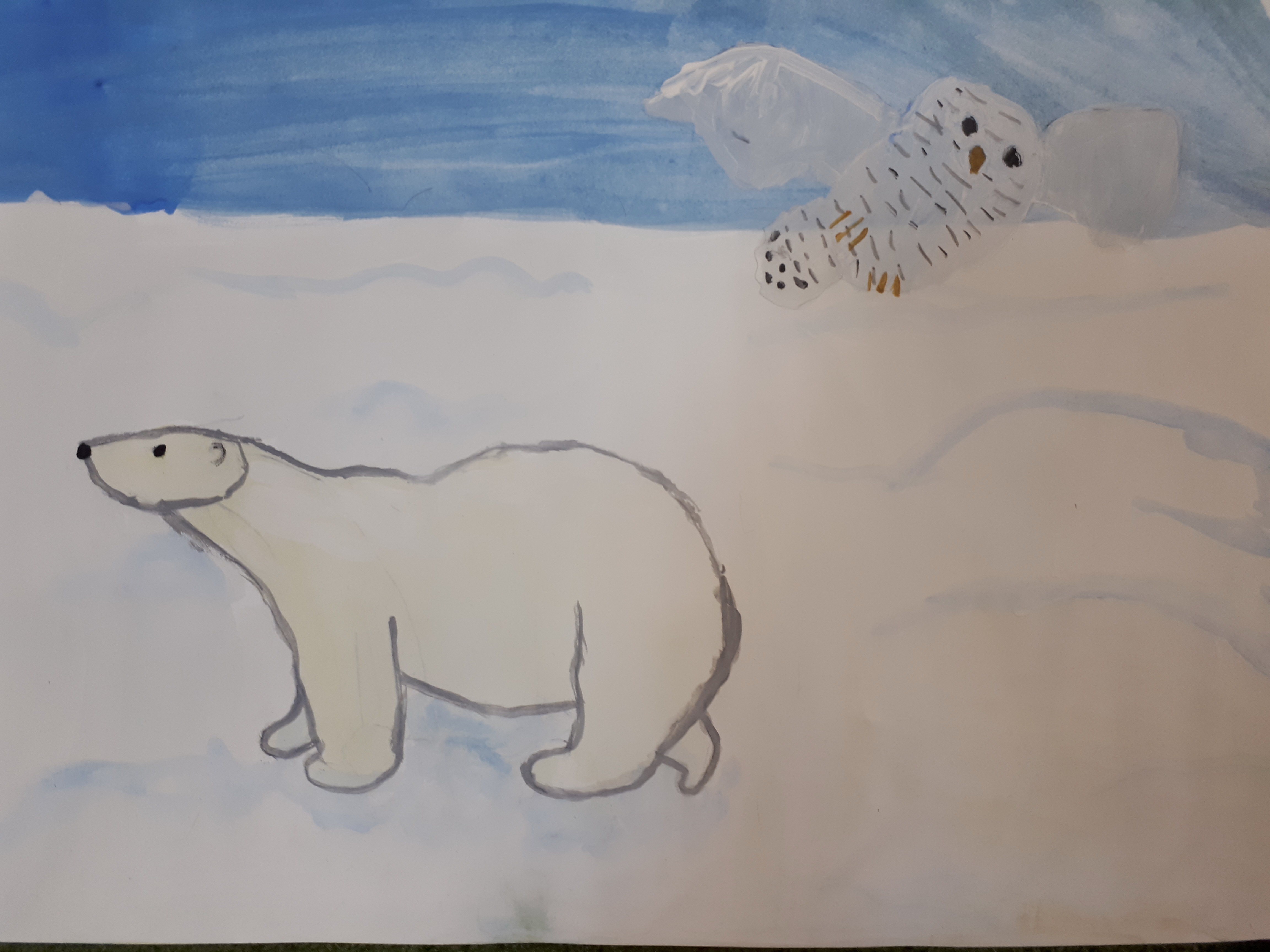 Нарисовать Арктику по окружающему миру