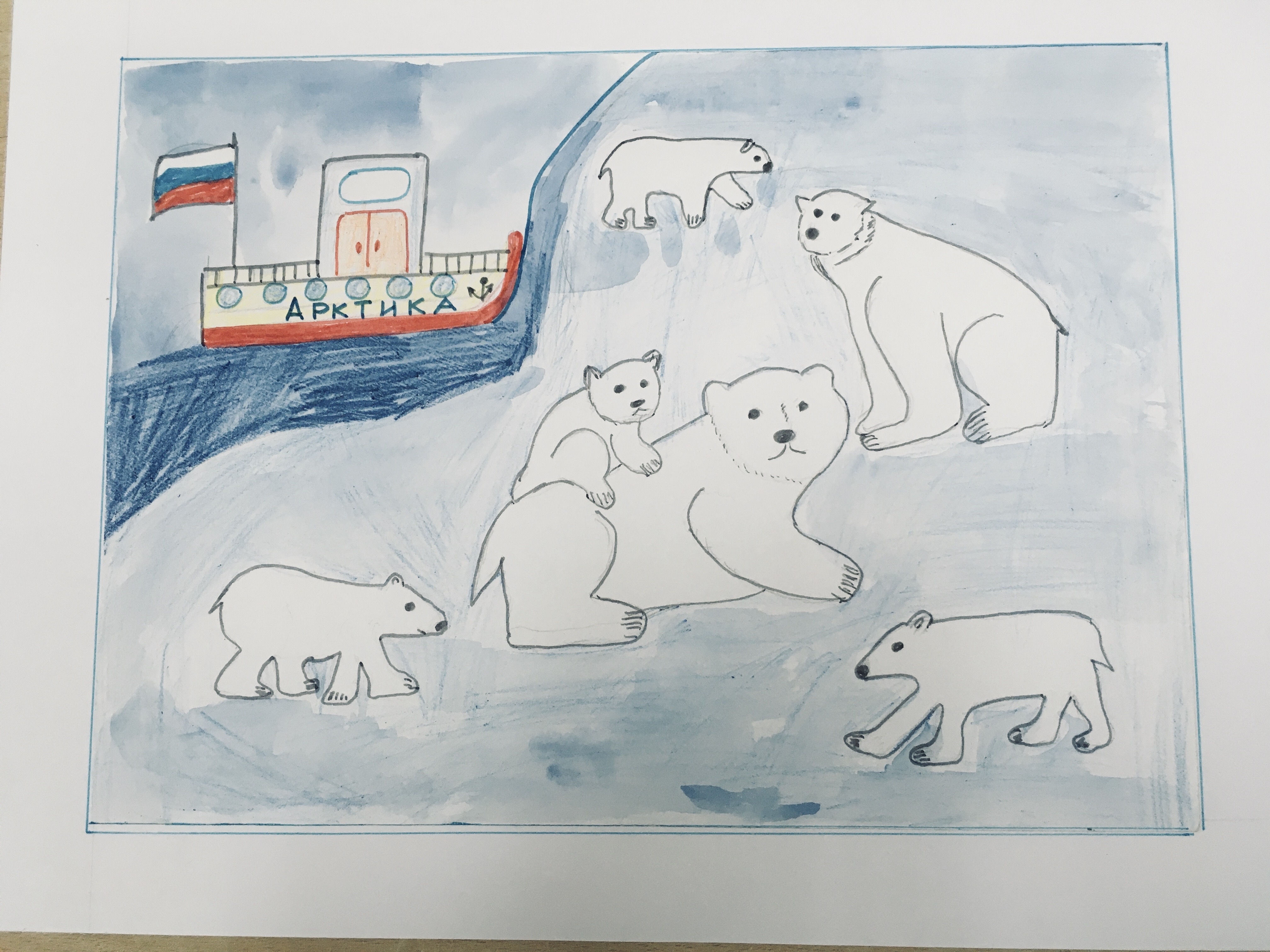 Рисунок Арктики для 4 класса окружающий мир
