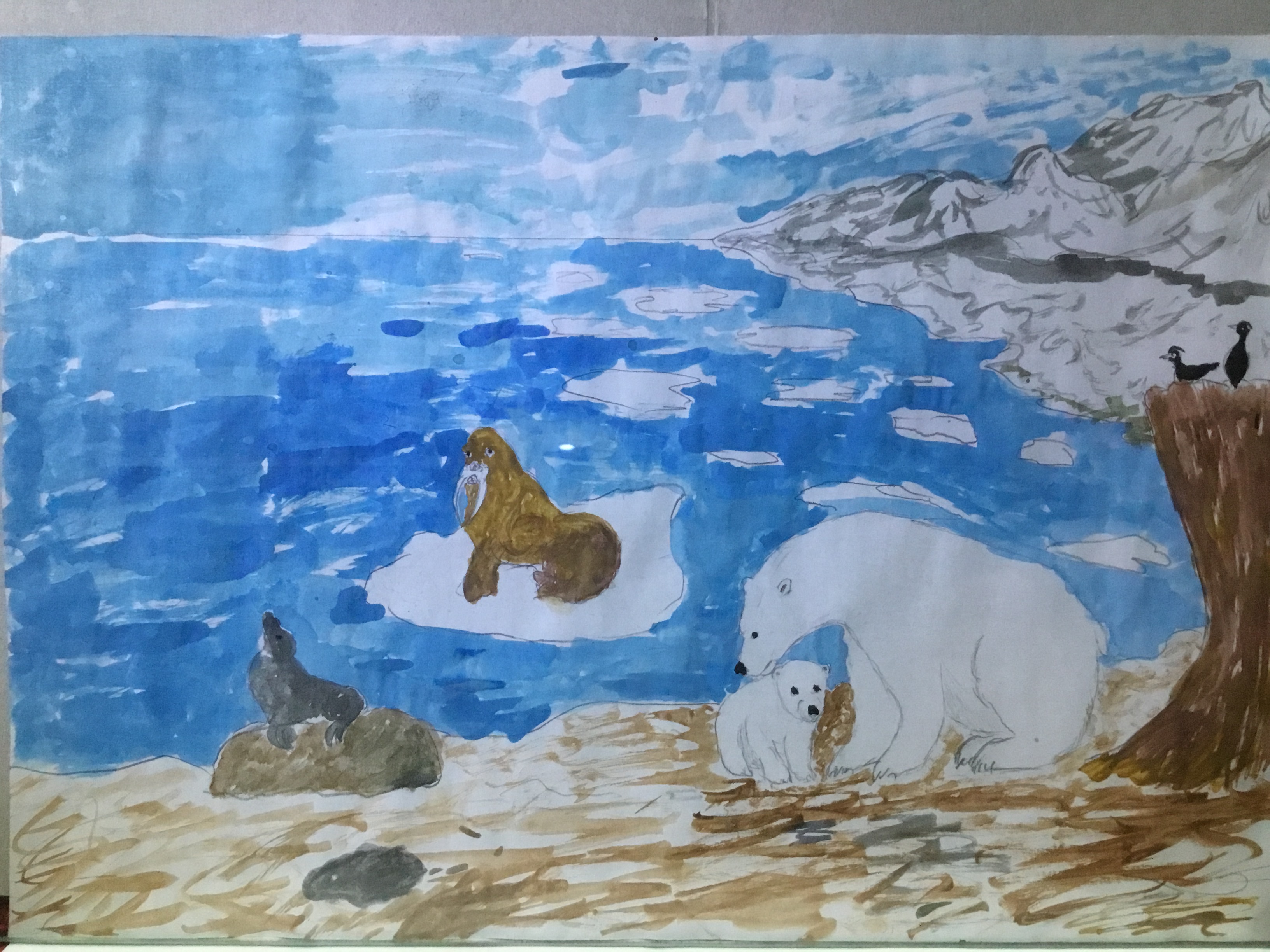 Природа и животный мир Арктики