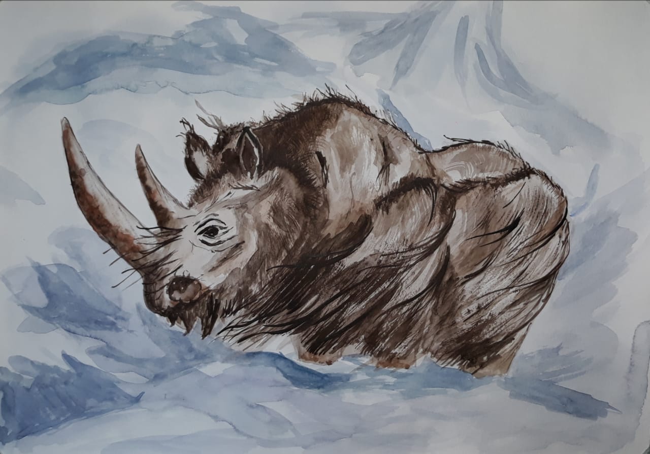 Колымский шерстистый носорог