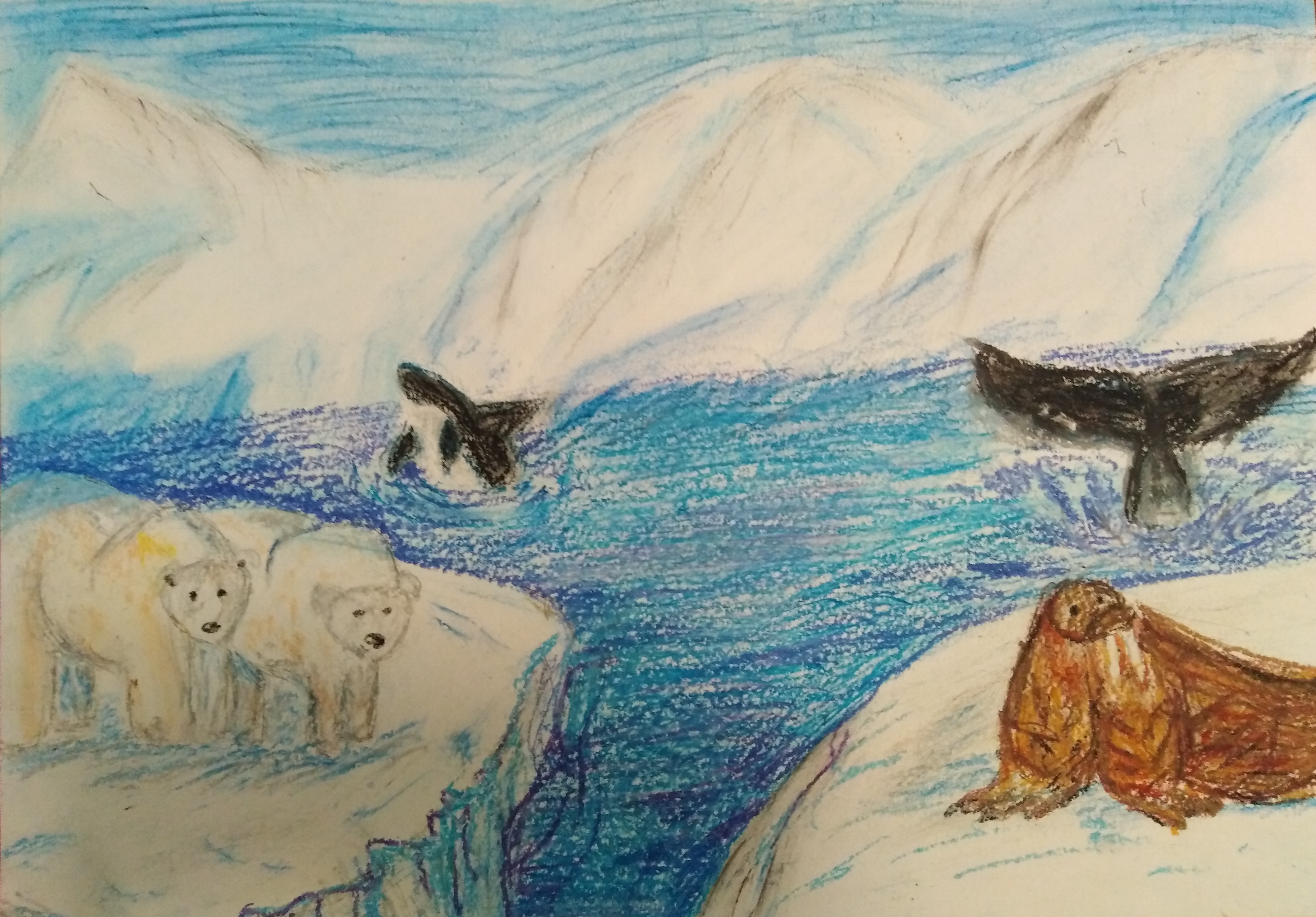 Рисование Северный полюс