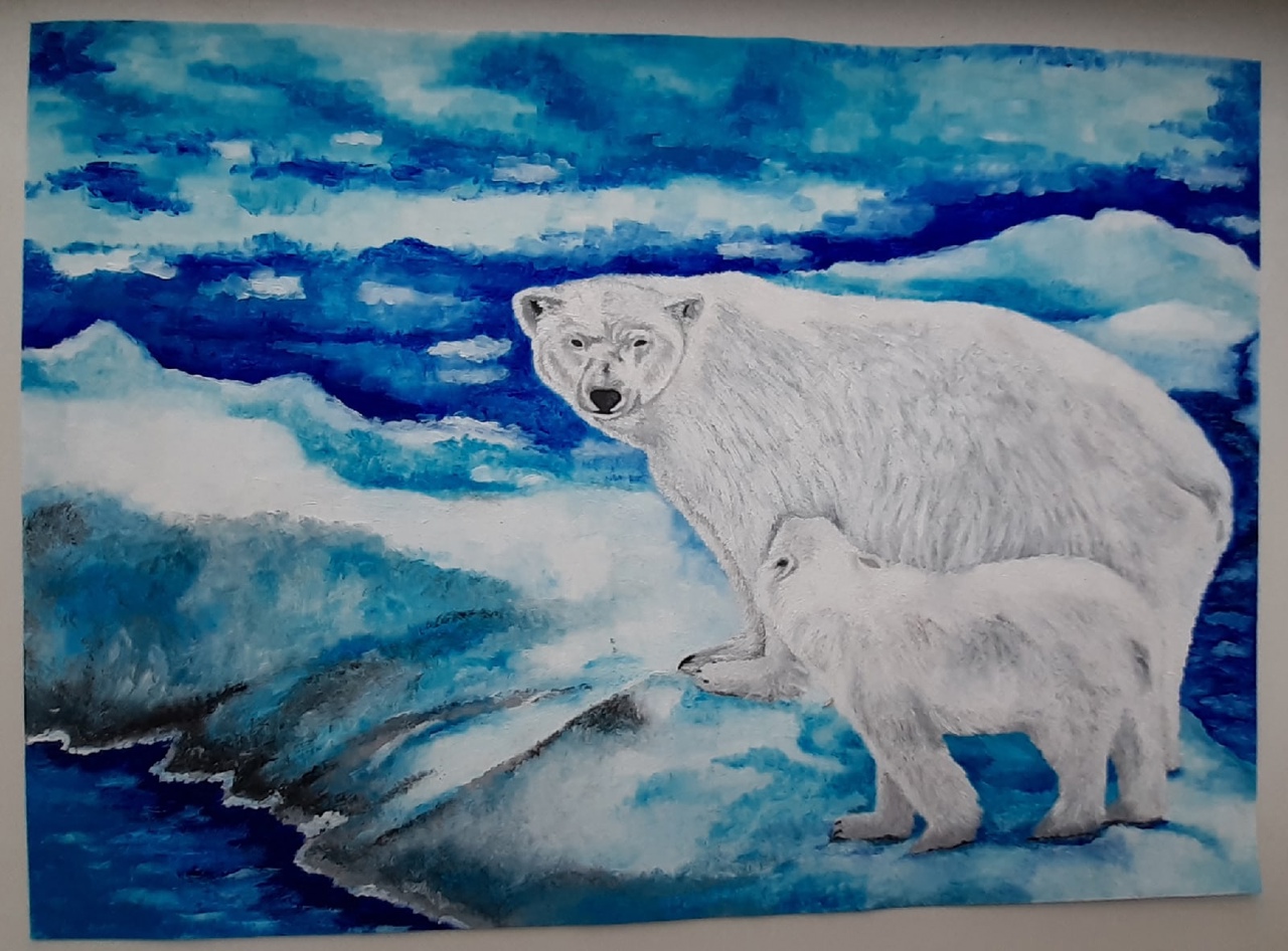 Белый медведь царь Арктики