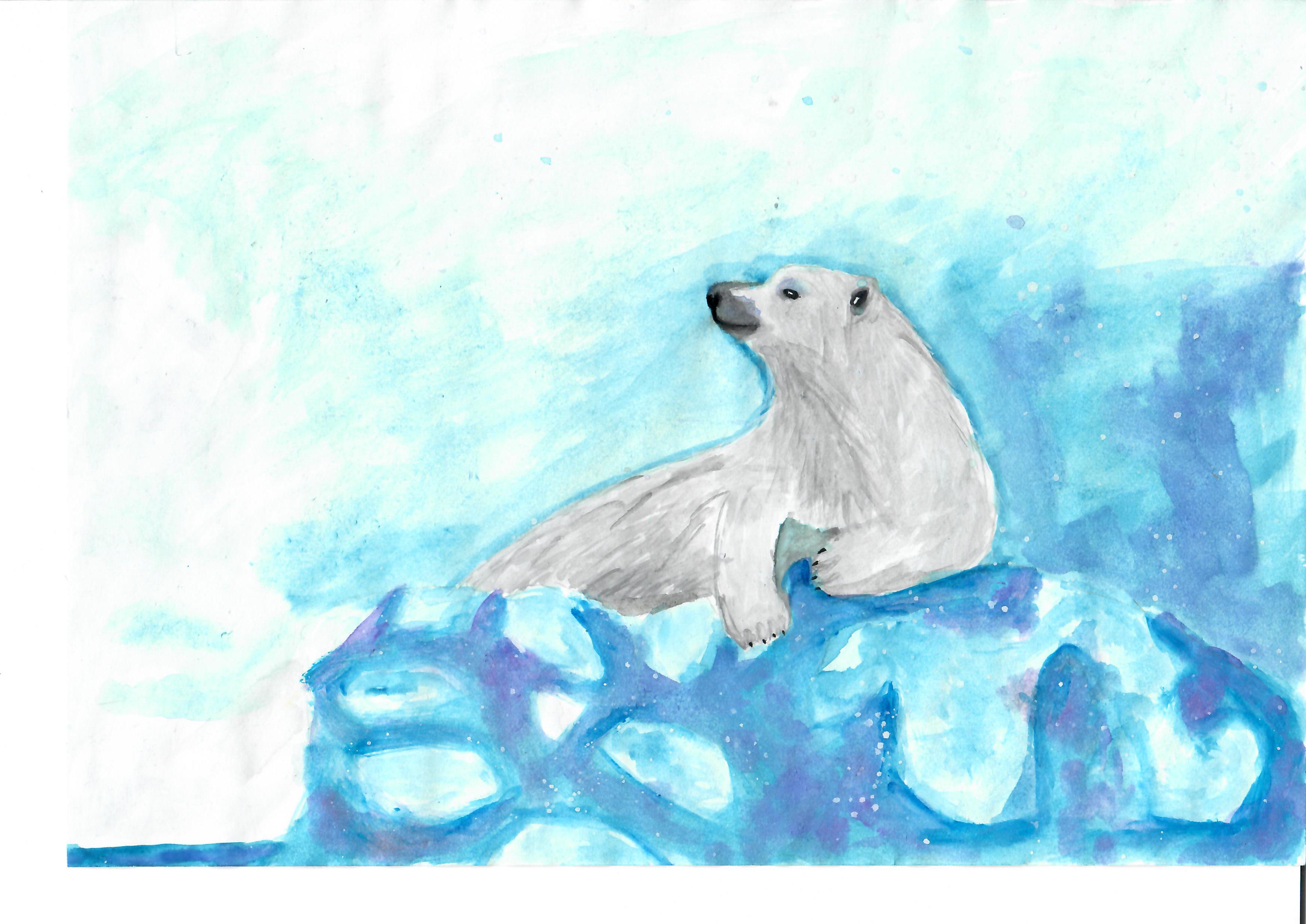 Белый медведь в Арктике рисунок карандашом