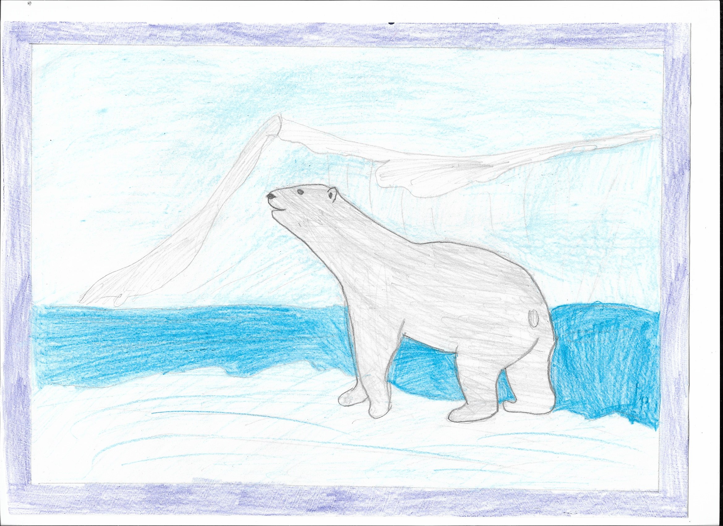 Рисунок на тему животные Арктики