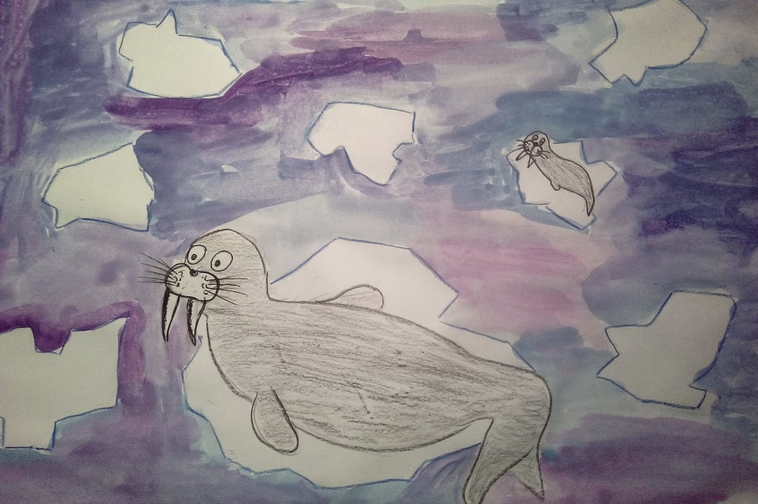 "Моржи"