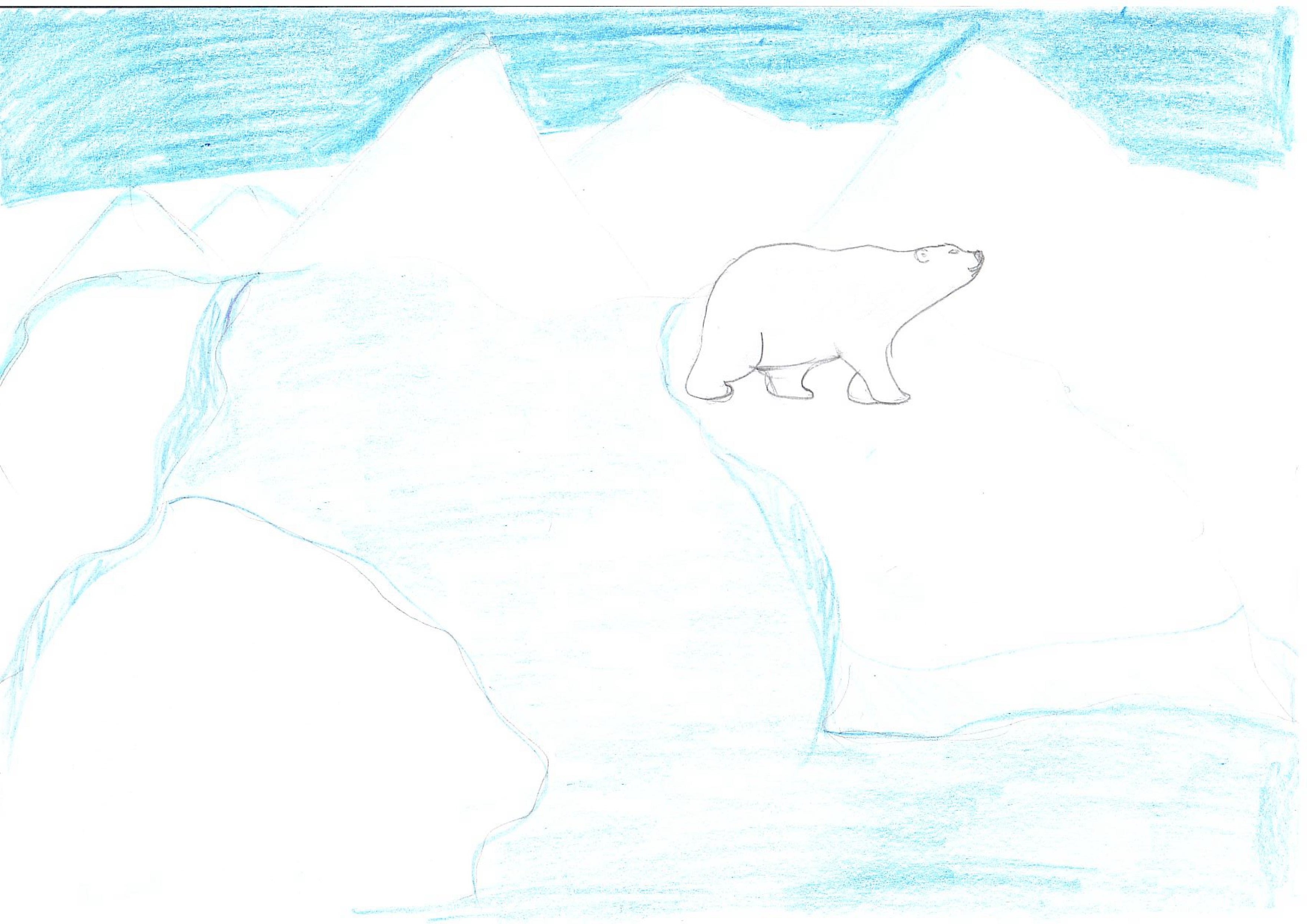 Арктика белый медведь цветными карандашами